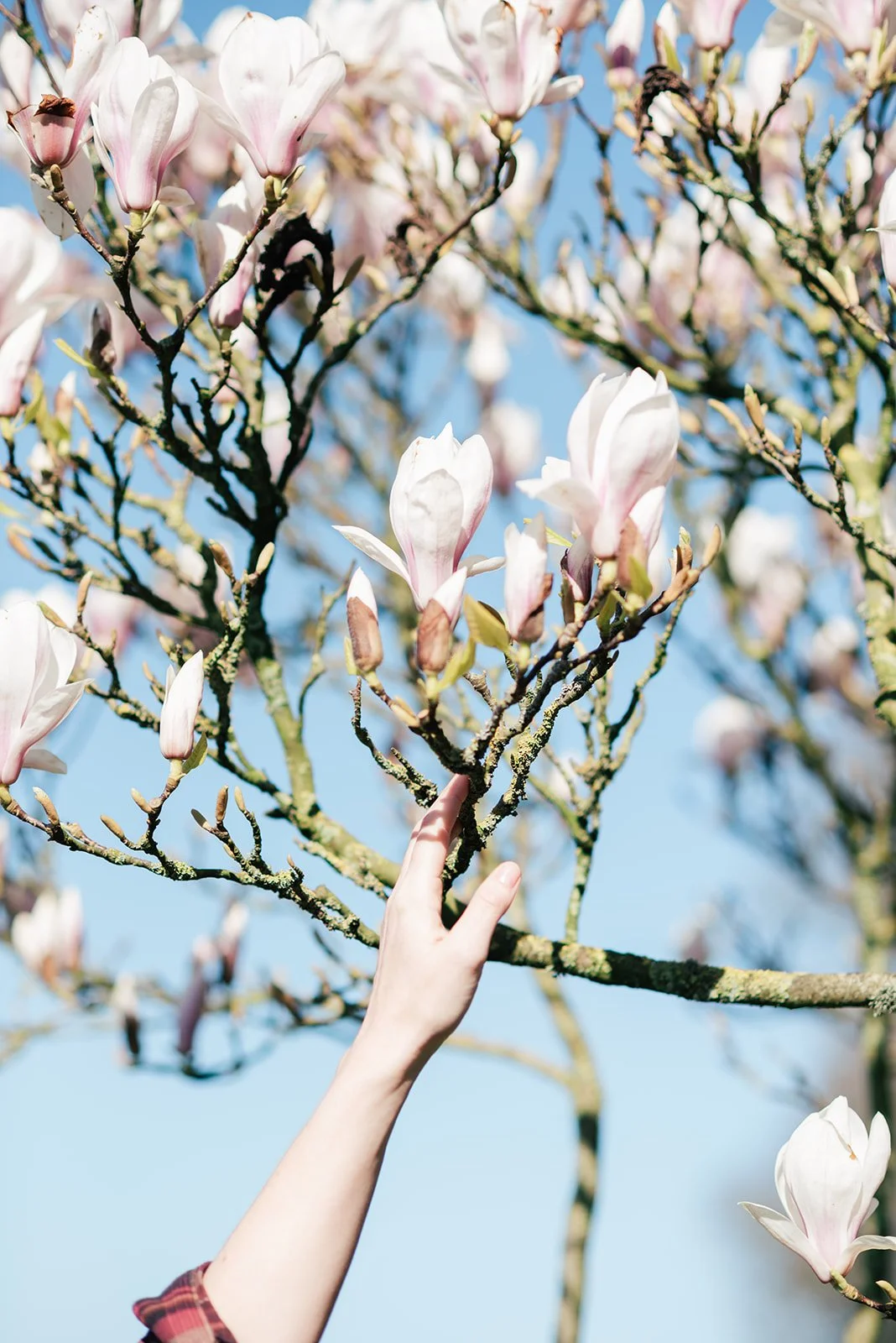 Magnolia Blossom Pilates Newbury