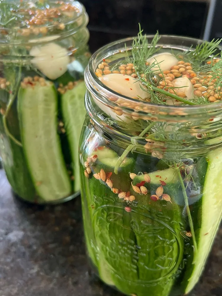 Jars of homemade dill pickles