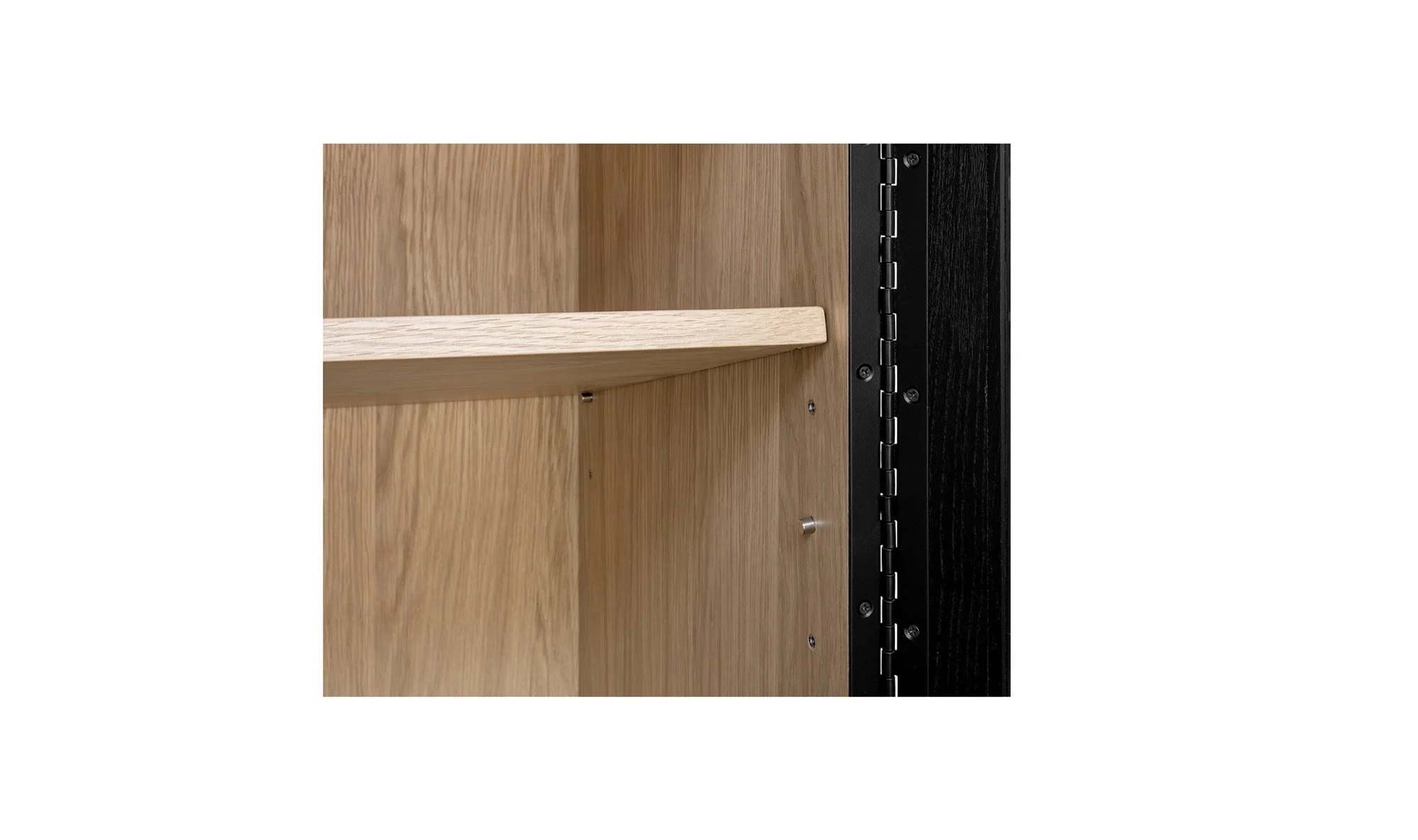 Bookcase_ Toronto Transitional_0012_577609.jpg.jpg