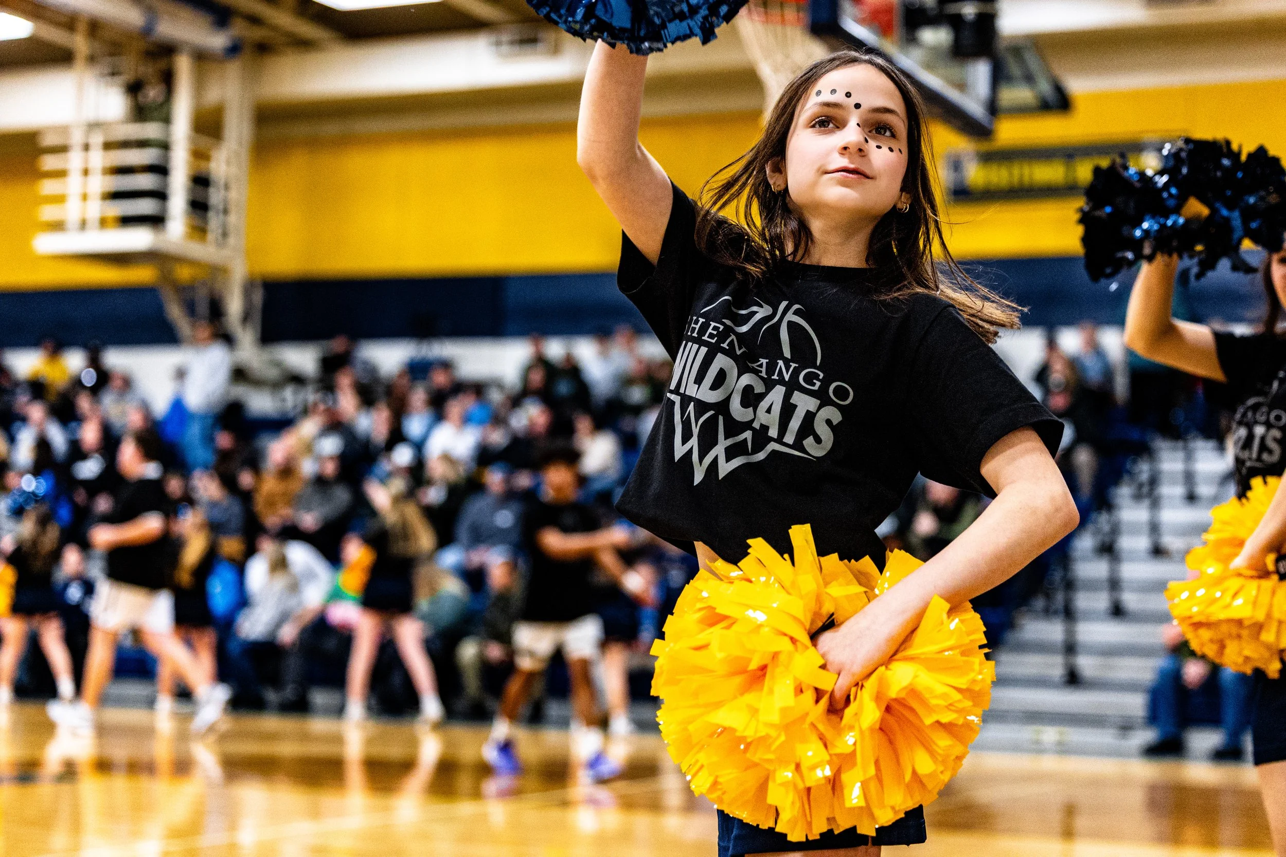 Shenango HS-3849.jpg