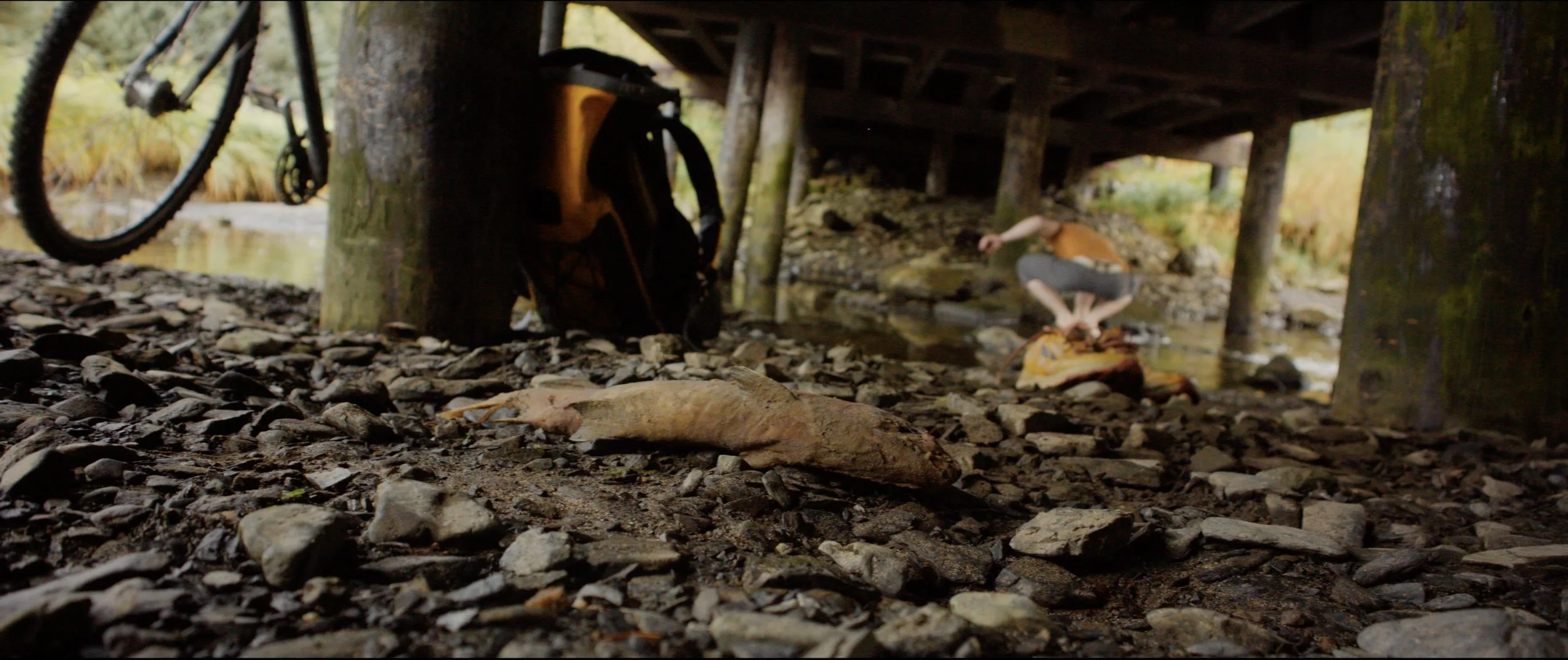 A person crouching underwater beneath a bridge with a bicycle, backpack, and rocks in the foreground.