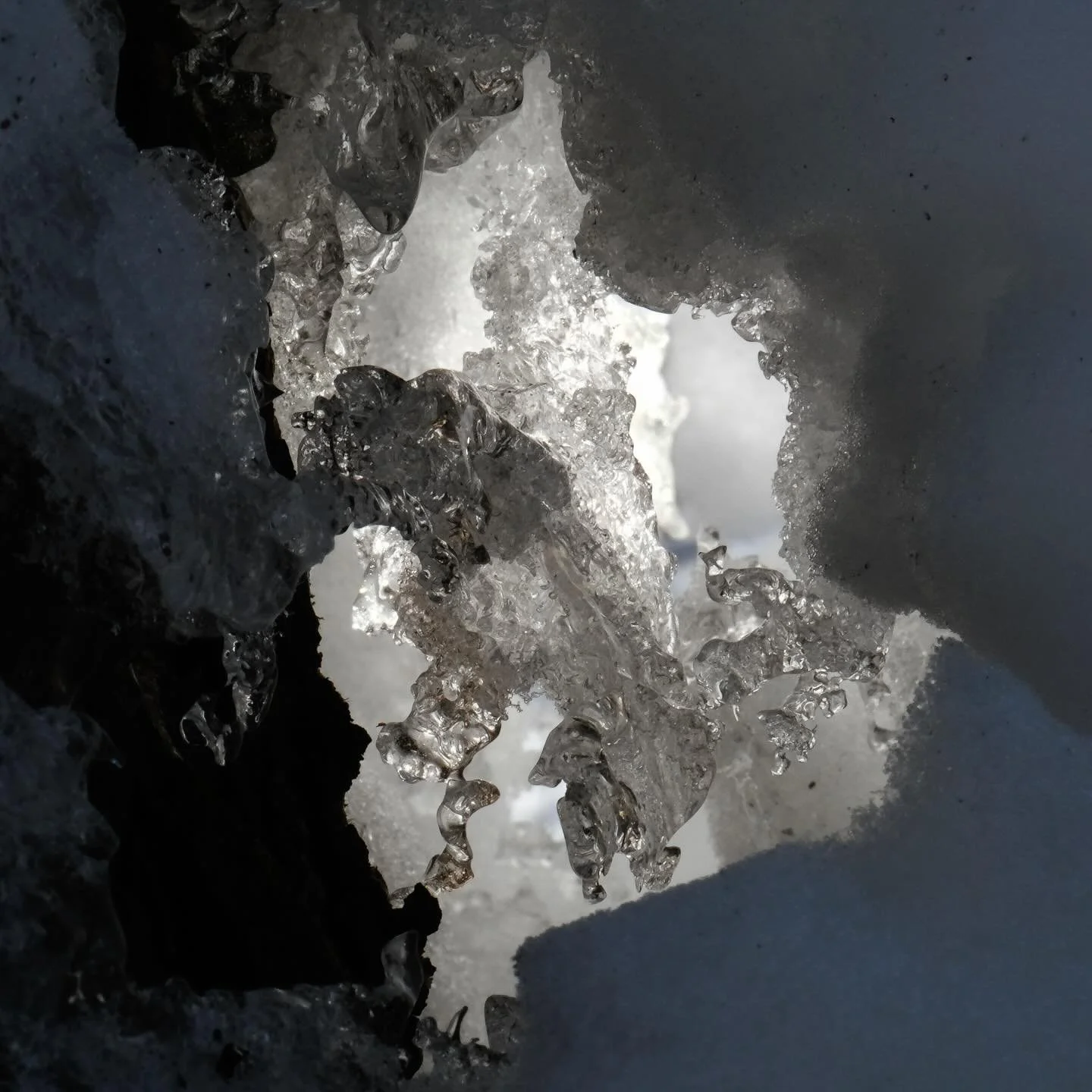 #fineartphotography #beyond #immediatewhole #larrysmuklerphotoarchive