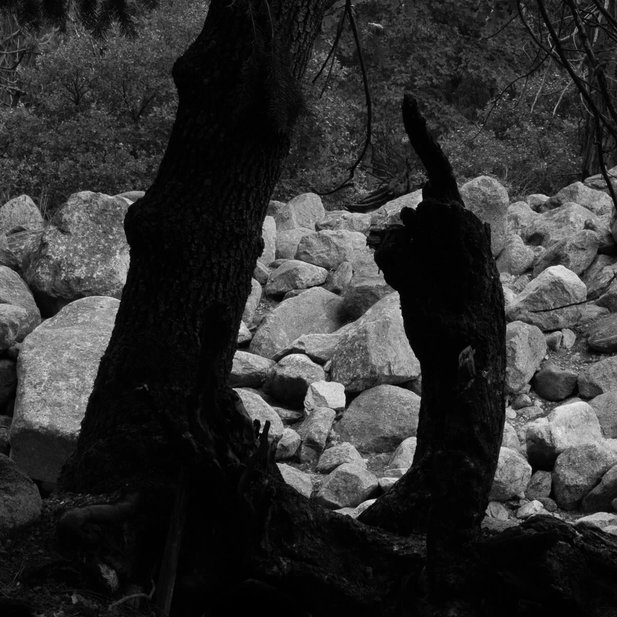 Even the land speaks! #blackandwhitephotography #fineartphotography #beyond #immediatewhole #larrysmuklerphotoarchive