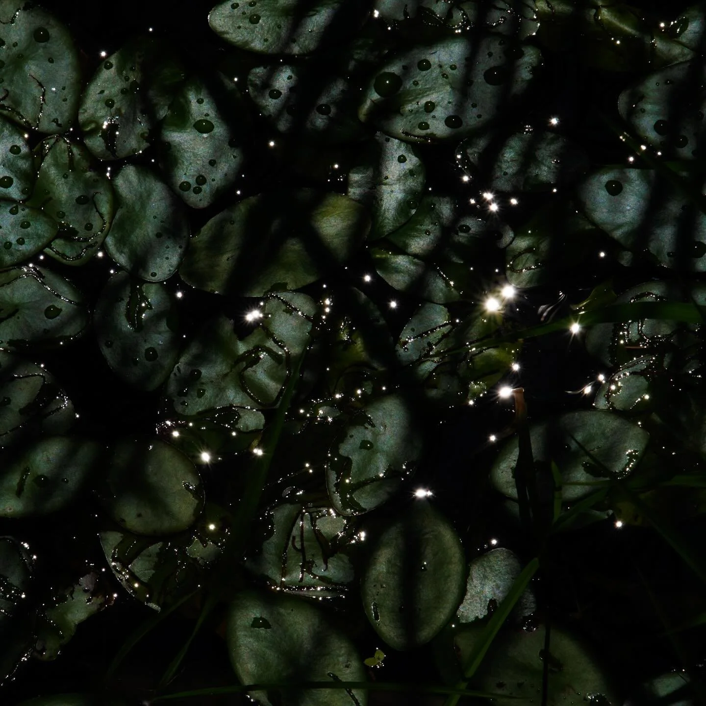 #fineartphotography #beyond #immediatewhole &ldquo;#larrysmuklerphotoarchive