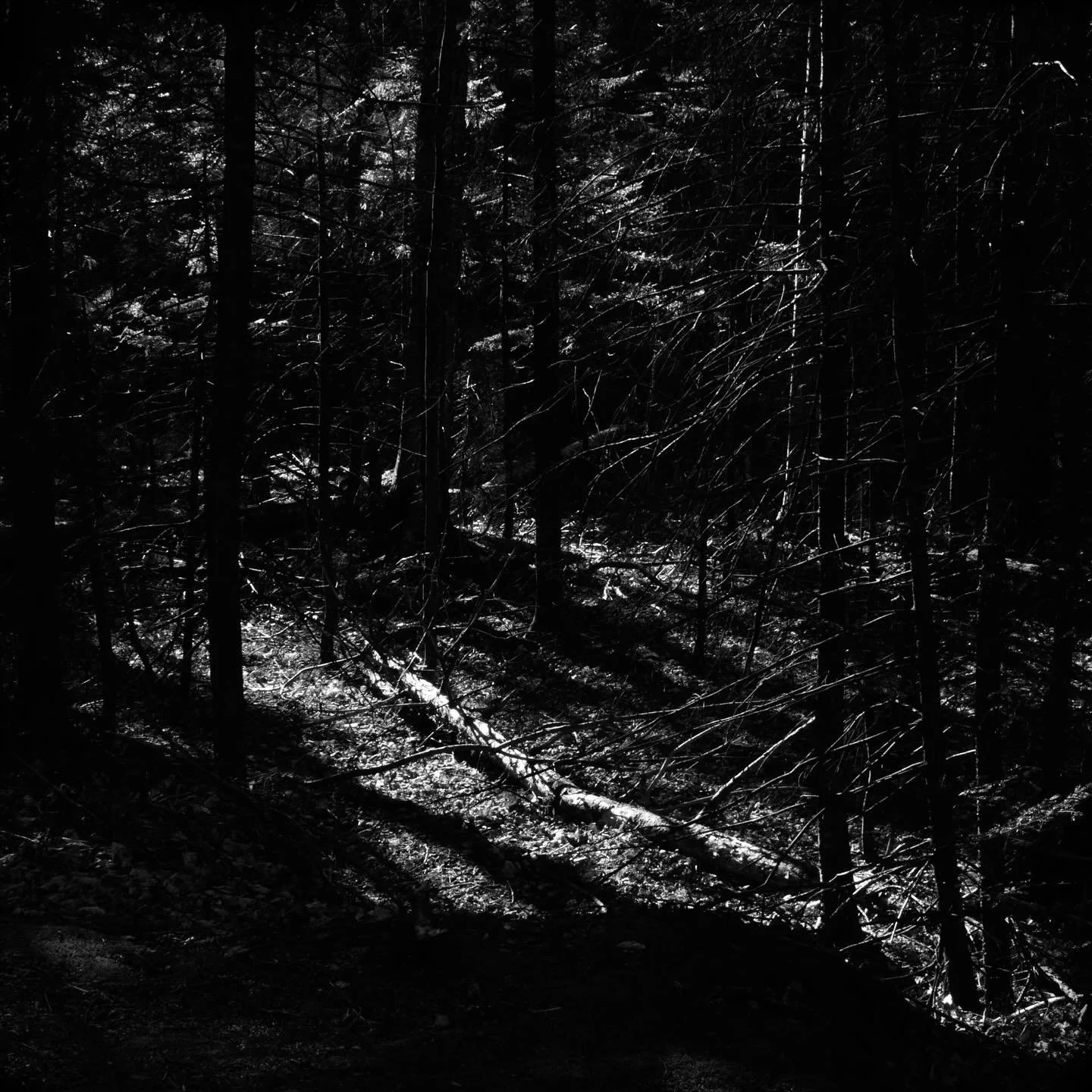 Lying in State #blackandwhitephotography #fineartphotography #immediatewhole #larrysmuklerphotoarchive