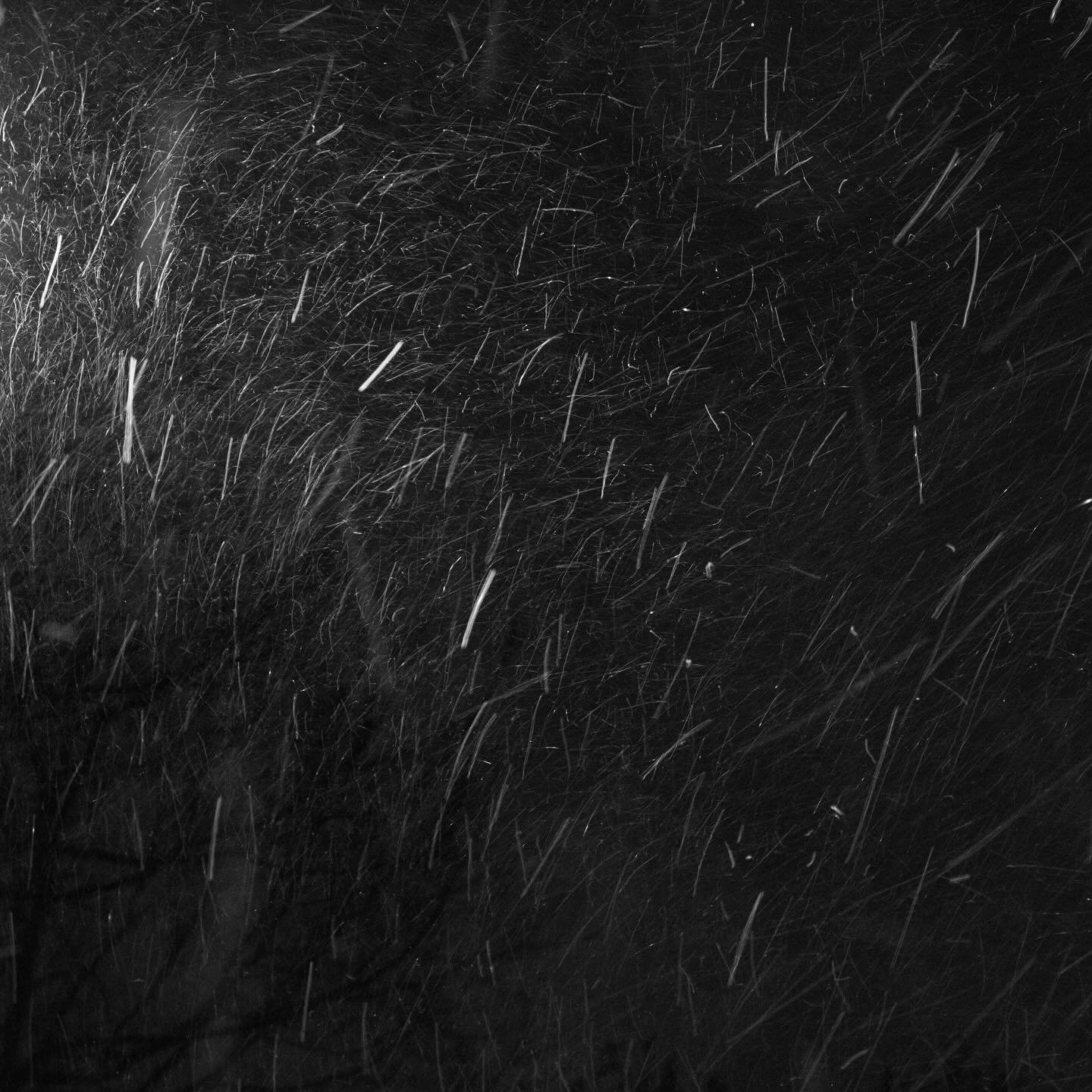 So honored to have my work included with the work of @alchemy.of.the.unknowns @swphoto1 and @ddangott, which has been posted in the picks of @griffinmuseum. #griffinmuseumpicks #blackandwhitephotography #fineartphotography #immediatewhole #larrysmukl