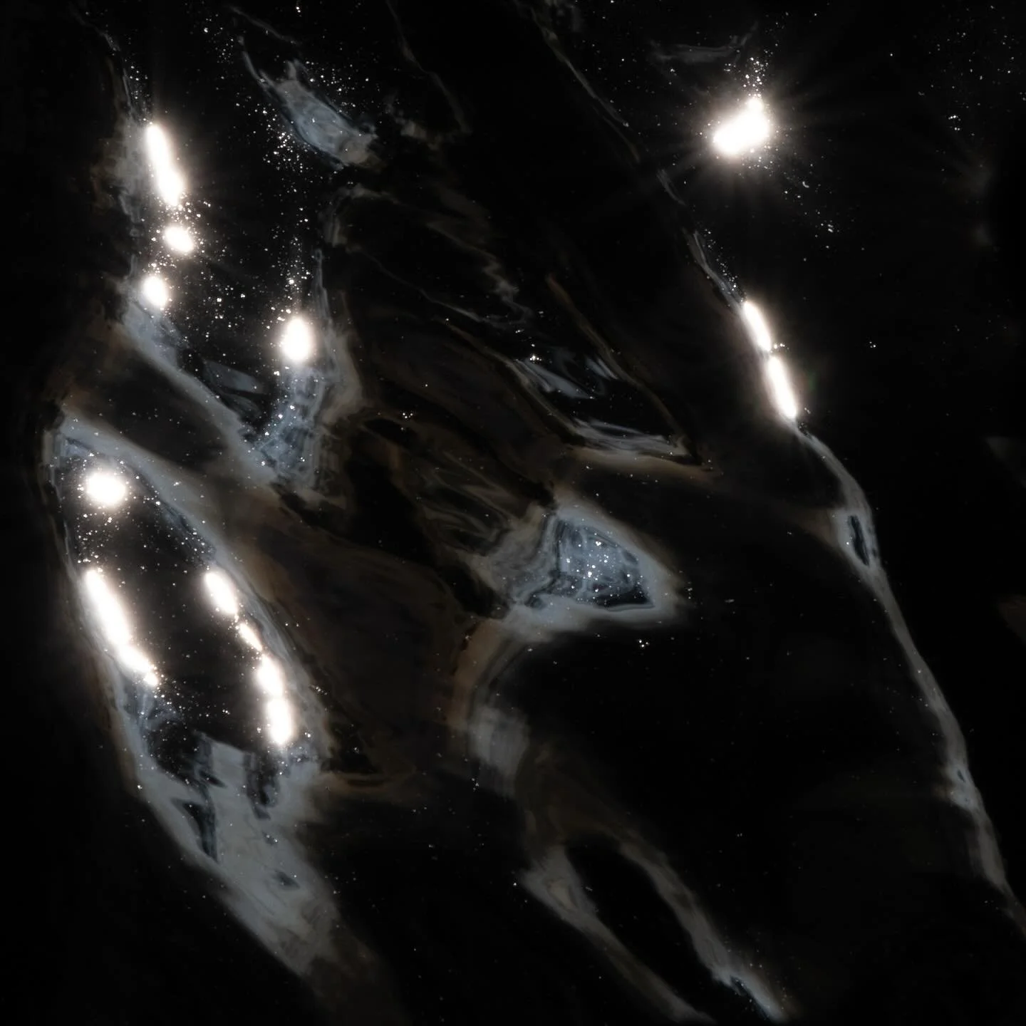 #fineartphotography #immediatewhole #larrysmuklerphotoarchive