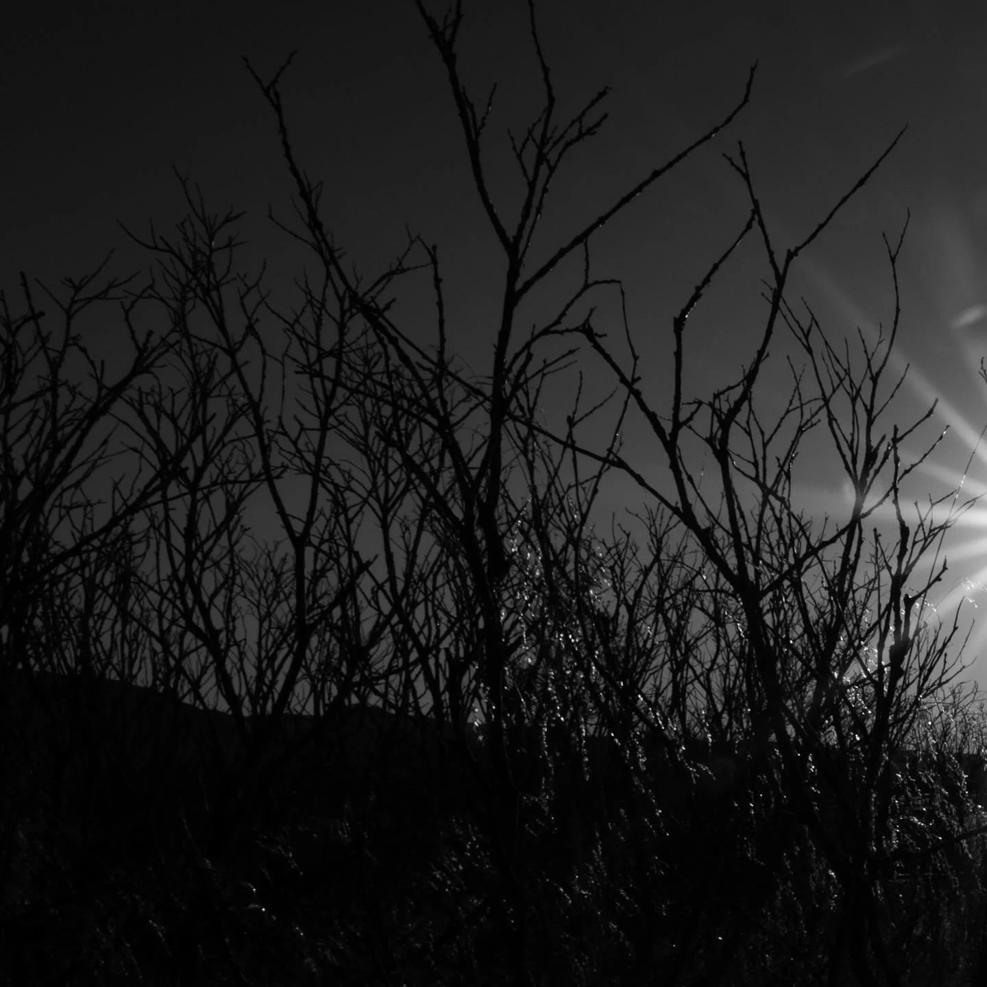 Iceland. #blackandwhitephotography #fineartphotography #immediatewhole #larrysmuklerphotoarchive