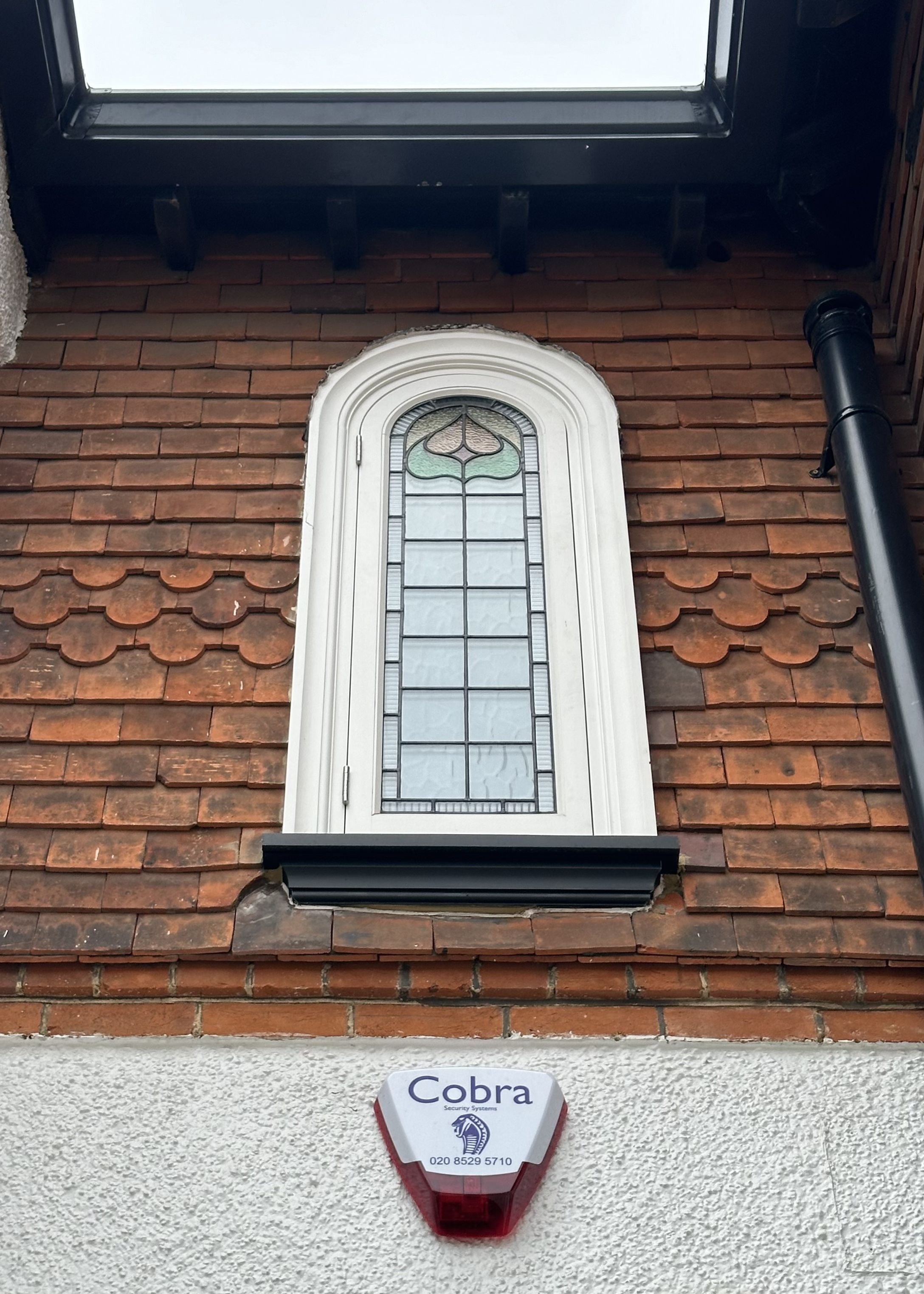 Untitled design (28).jpg