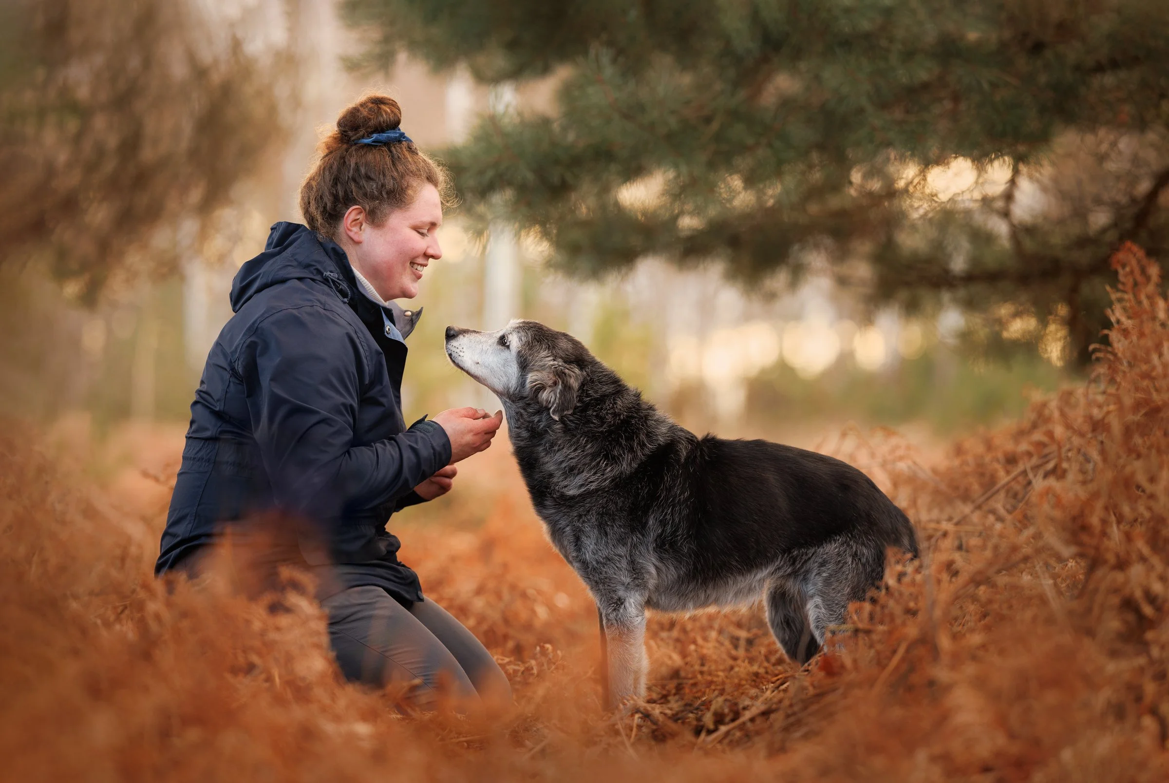 A woman kneeling down outdoors, smiling at a dog, with trees and orange leaves in the background.
