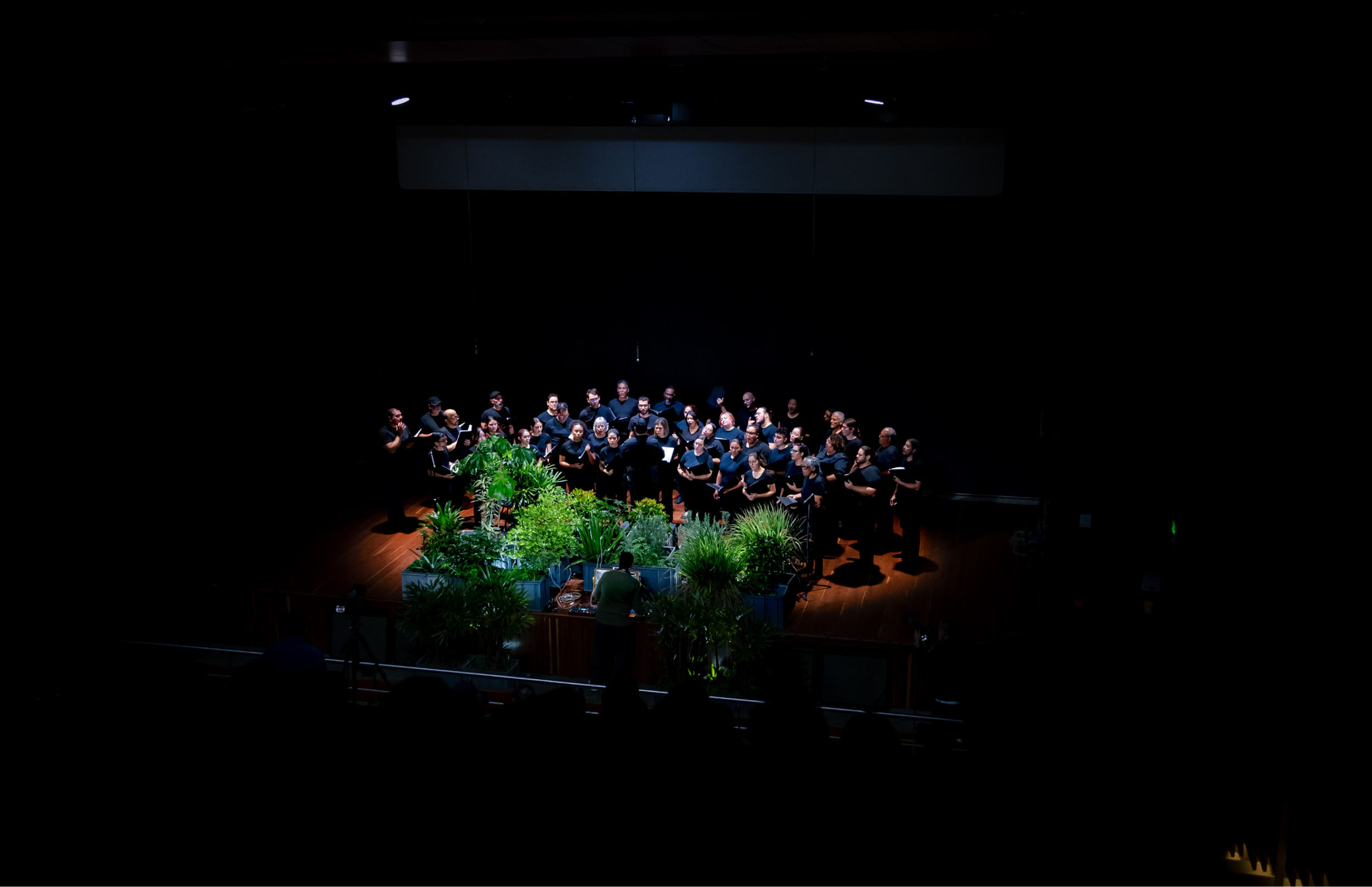 Vista amplia del escenario oscuro con iluminación centrada sobre un coro vestido de negro, dispuesto alrededor de una instalación de plantas. En primer plano, una persona opera equipos electrónicos frente a la vegetación.