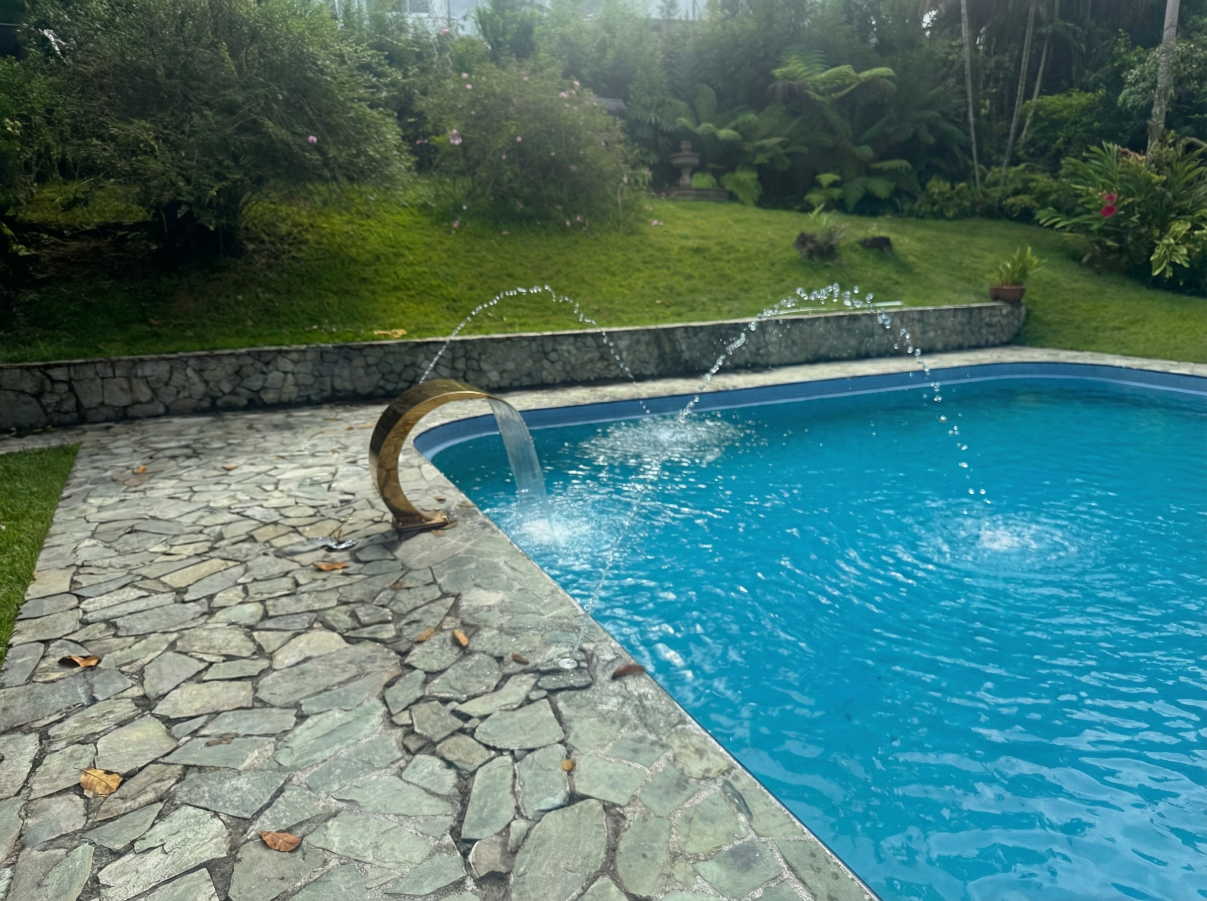 A backyard swimming pool with water jets shooting water into the pool, surrounded by a stone patio and lush greenery including trees and potted plants.