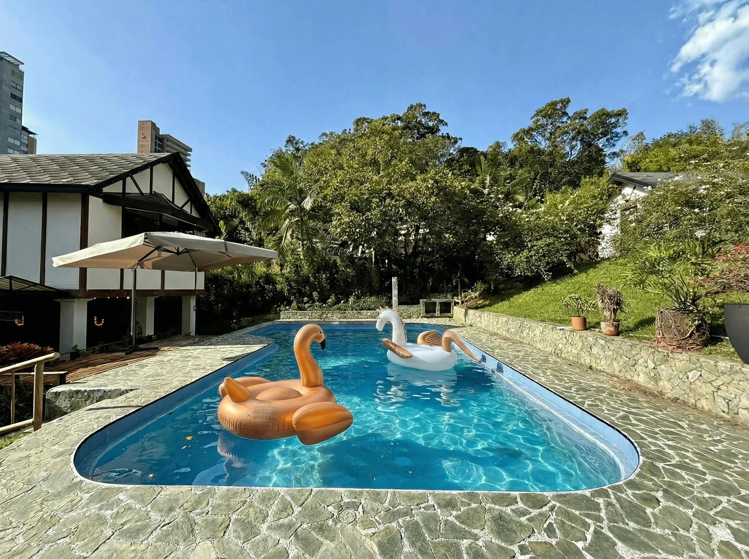 A backyard swimming pool with inflatable flamingo and swan pool floats, surrounded by greenery, patio umbrella, and houses, with a clear blue sky in the background.