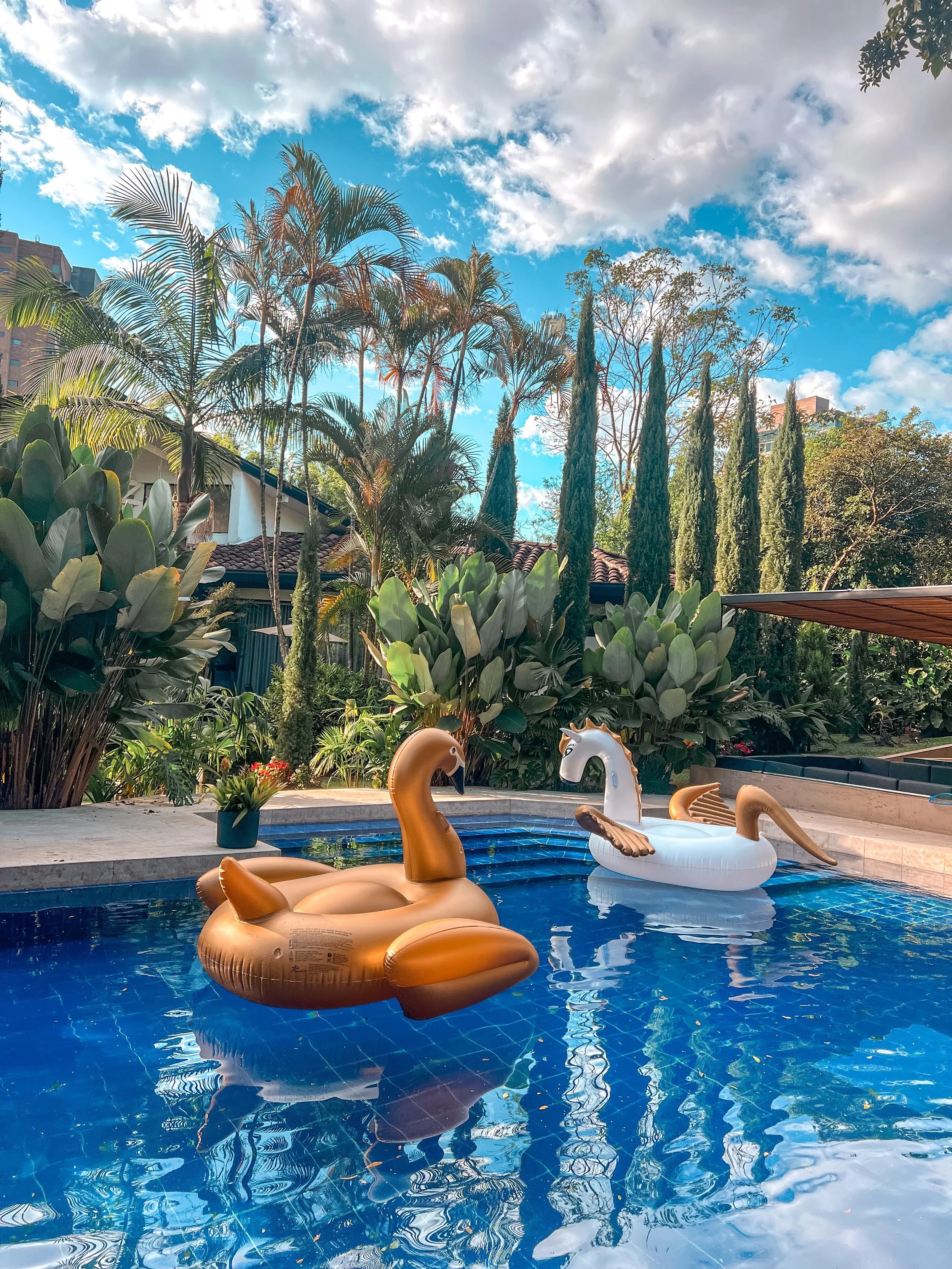 A backyard pool with inflatable flamingo and unicorn floats, surrounded by lush green plants and trees under a blue sky with clouds.