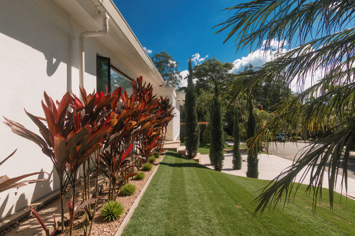 A well-maintained yard with lush green grass, tall red-leafed plants lining a white house wall, and a row of tall, narrow cypress trees. There are palm branches in the foreground and a paved driveway or walking path extends into the background under 