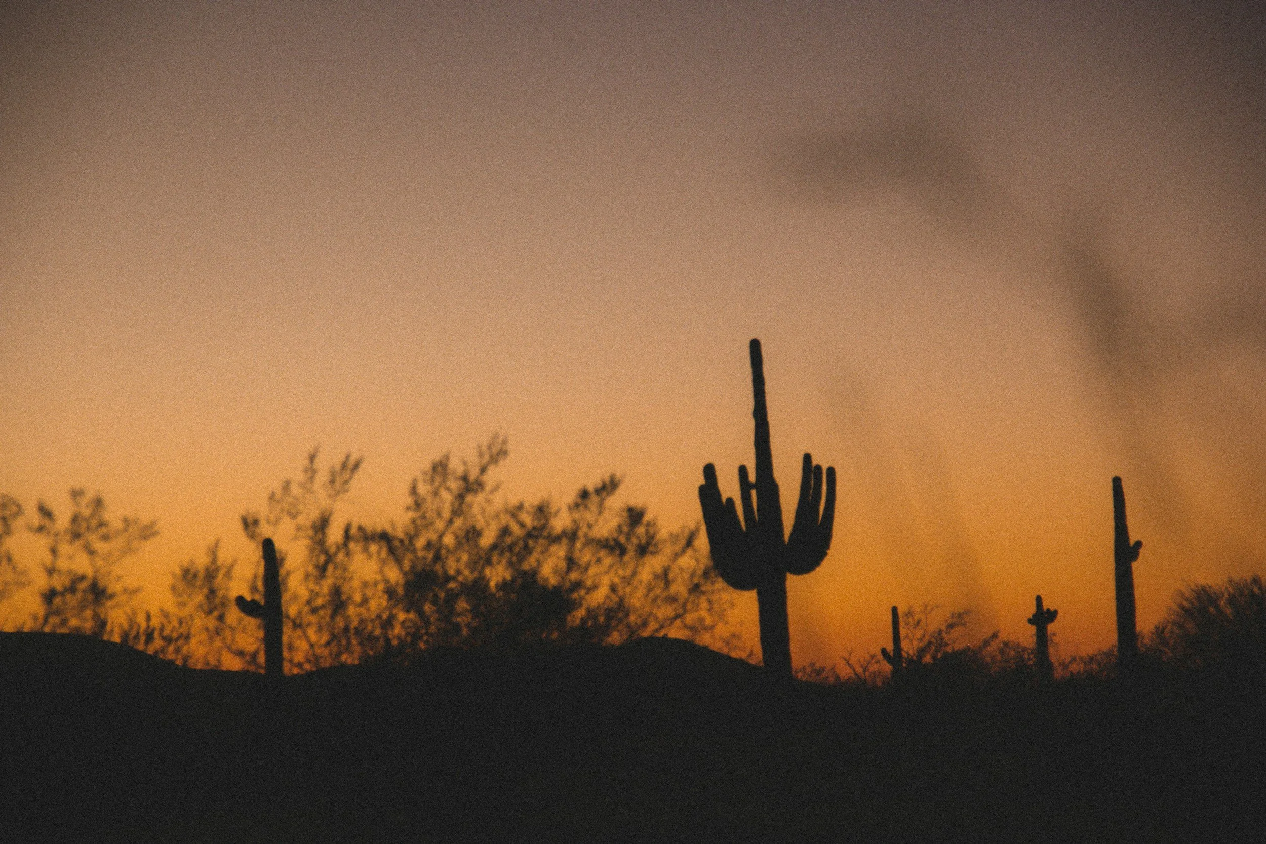 Group Trip to Scottsdale: The Complete Guide