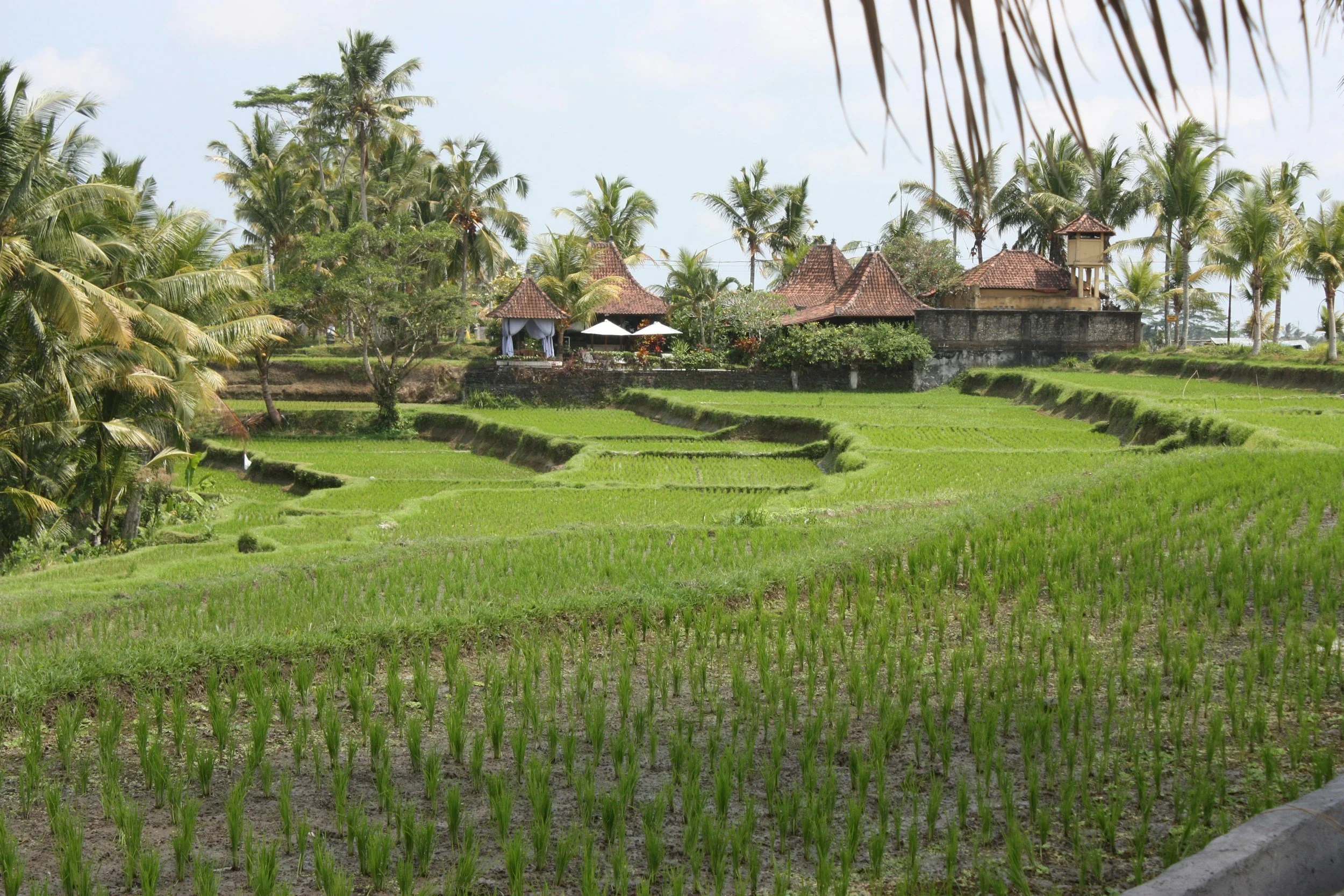 Group Trip to Bali: The Complete Guide