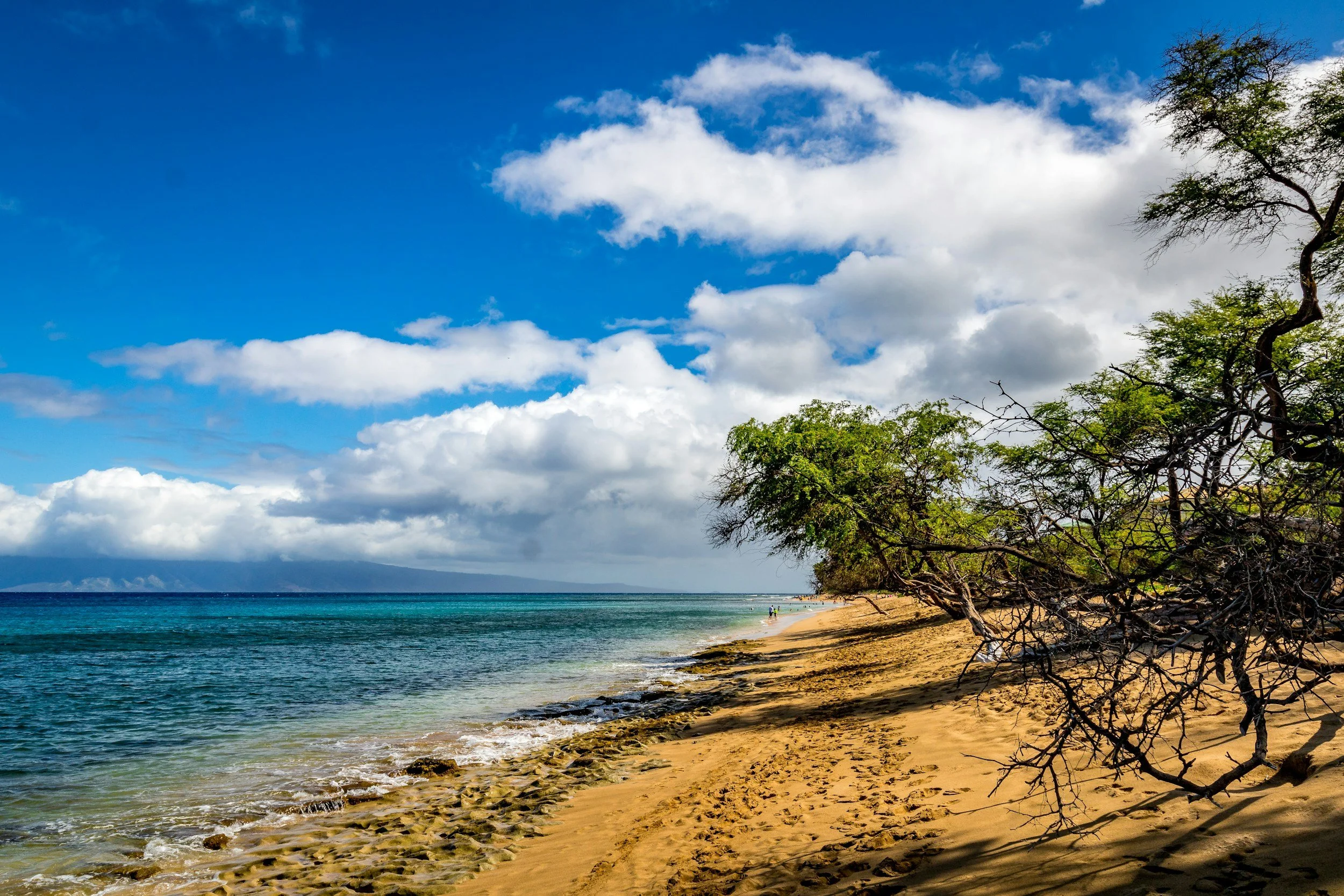 Group Trip to Maui: The Complete Guide