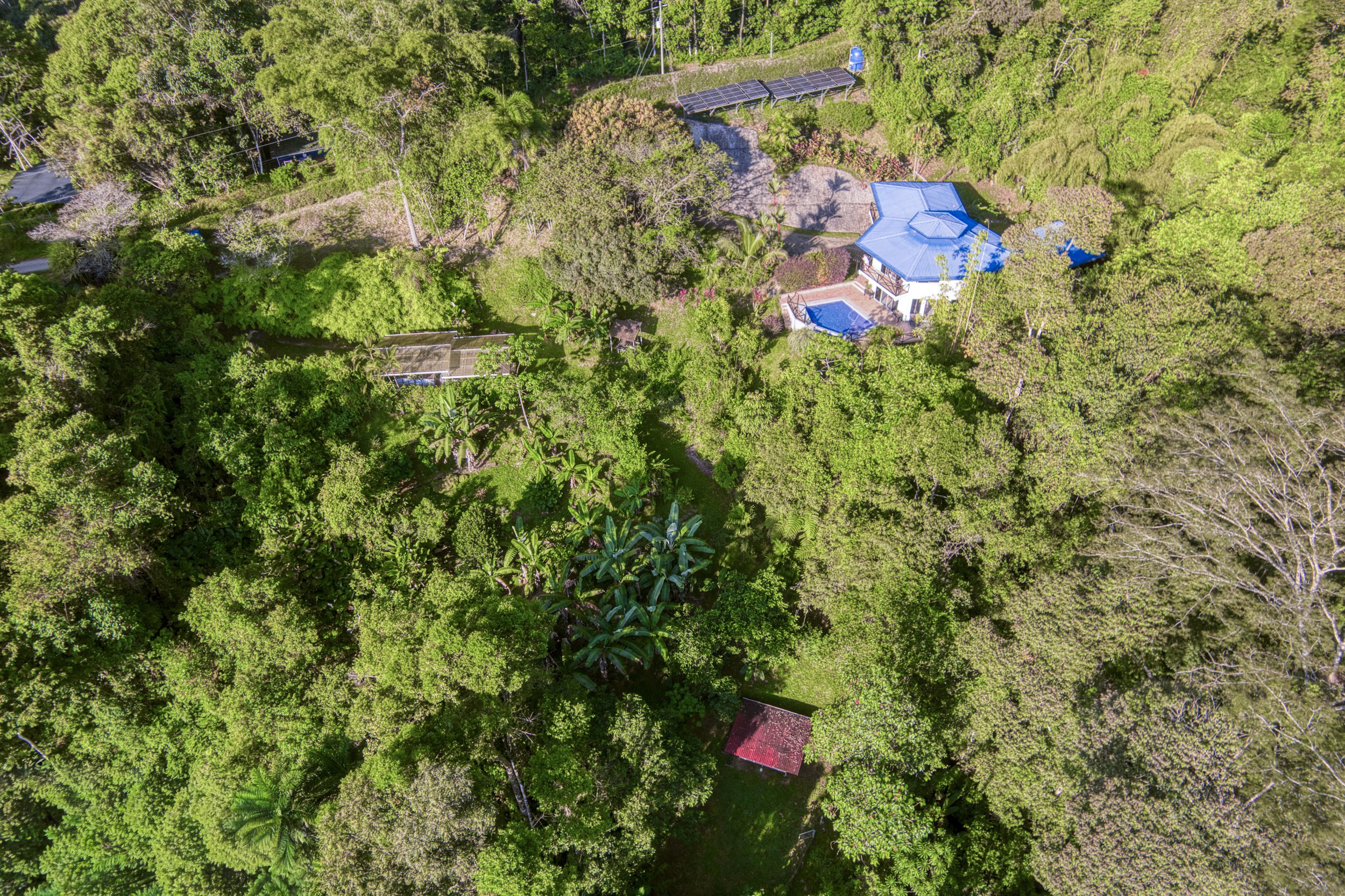Aerial view of a lush, green residential area with houses, trees, and a swimming pool.