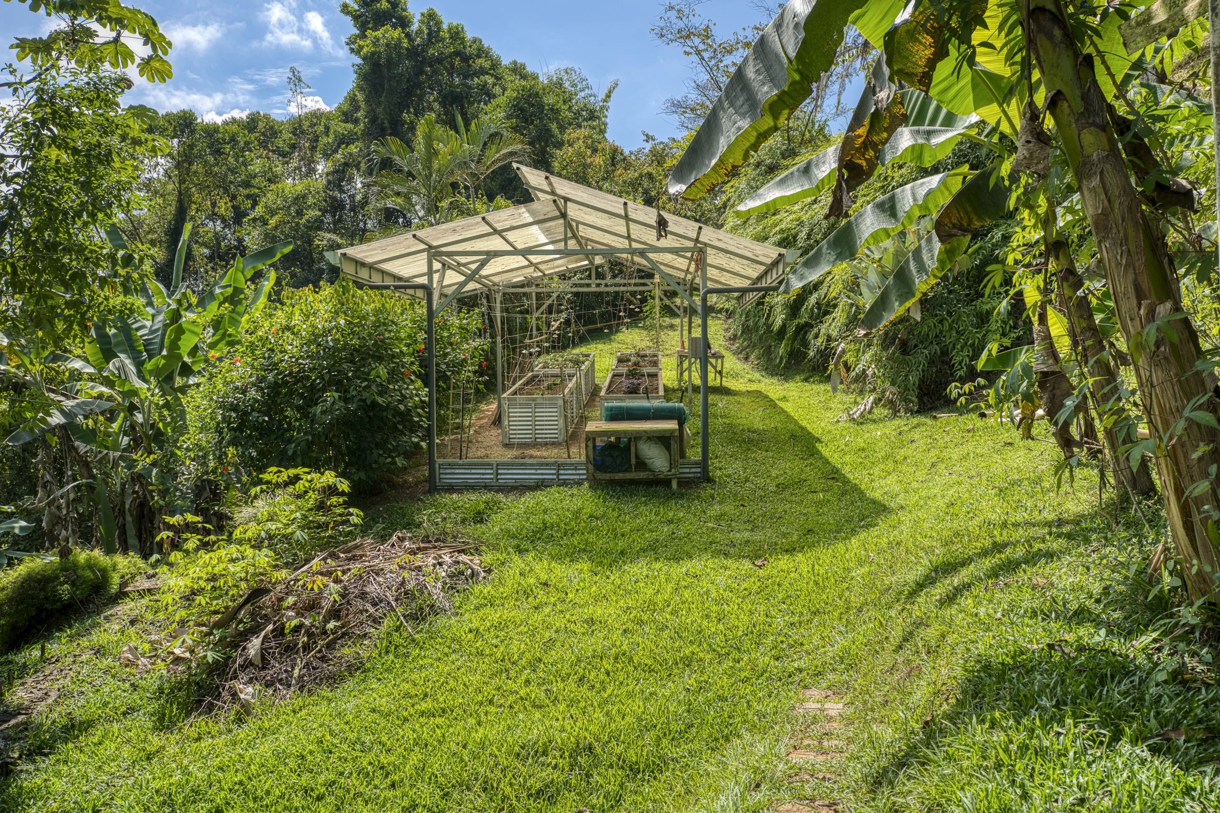 A small greenhouse in a lush green backyard surrounded by trees and plants, with a grassy pathway leading to it.