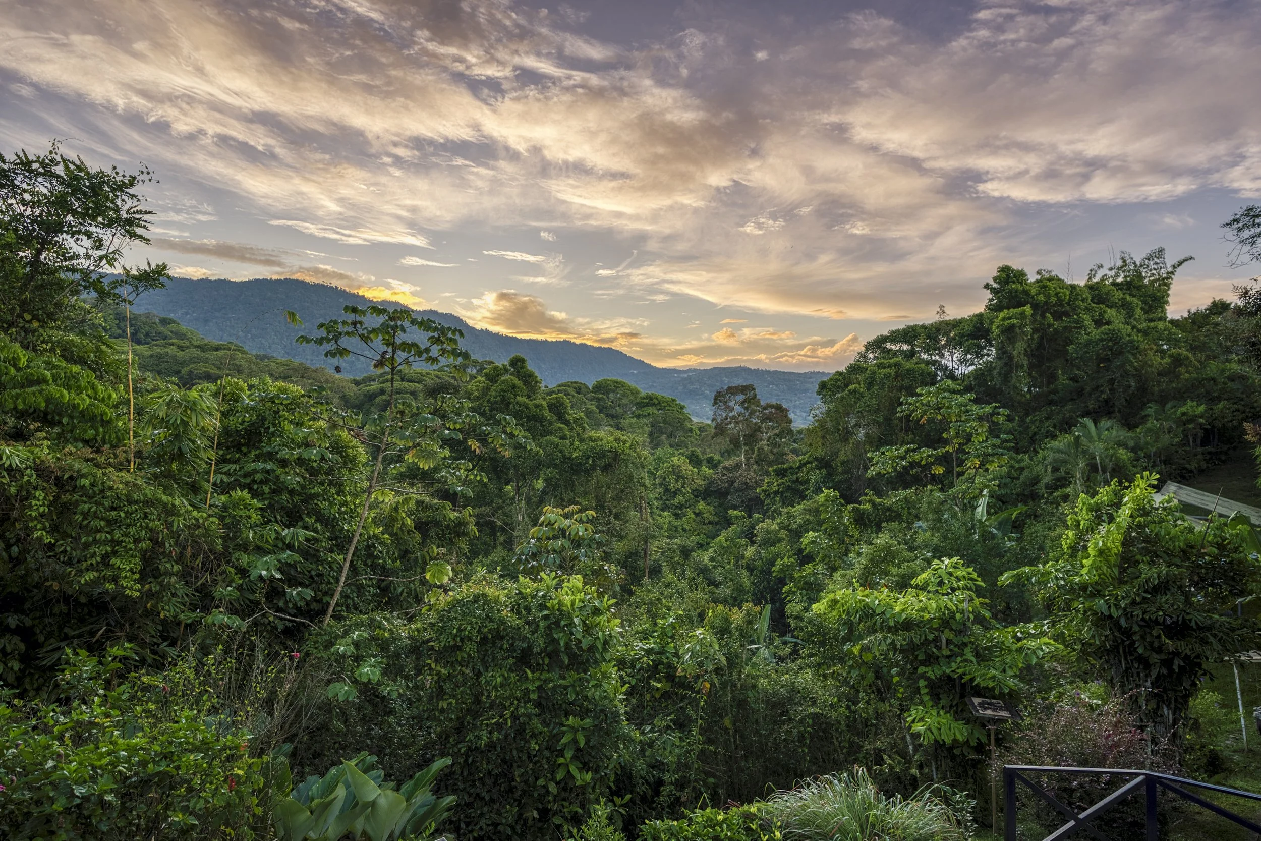 Elevated valley views from Casa Arbol de Vida in the mountains above Costa Rica’s southern Pacific coast.