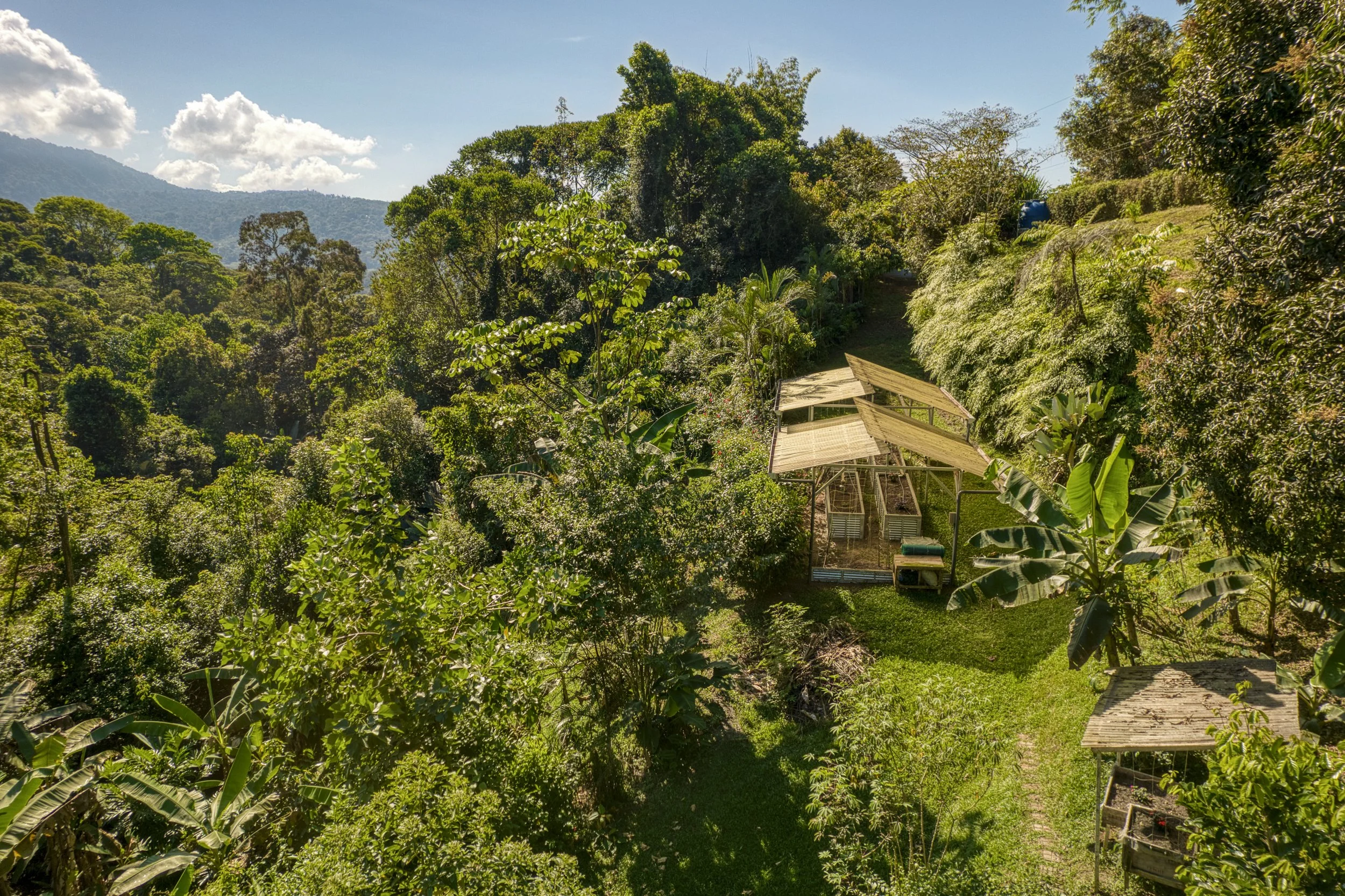Four extra large raised garden beds are protected from intense sun and rain to cultivate vegetables - supports sustainable food production at Casa Arbol de Vida.