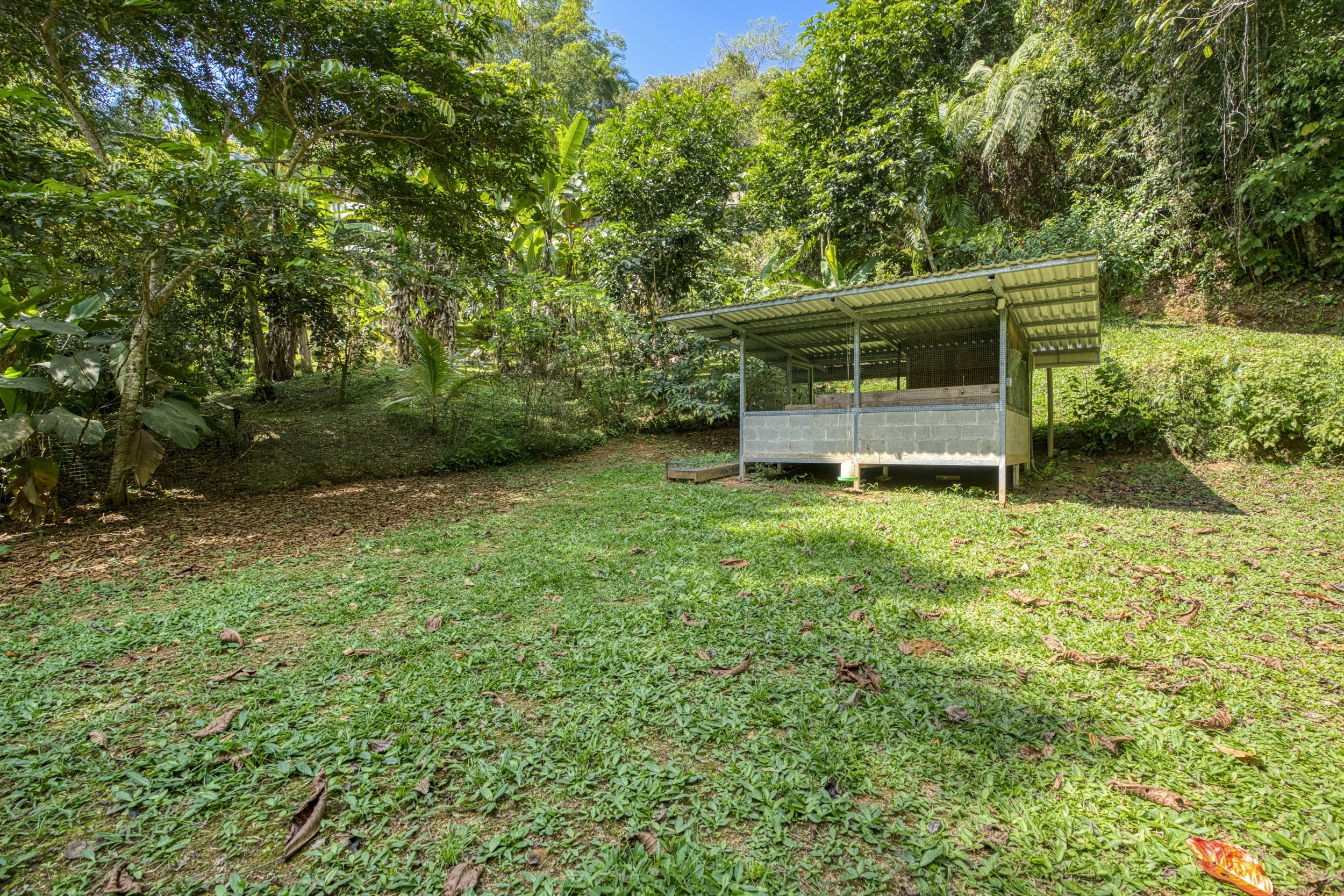 Free-range chicken area integrated into the property’s homestead design. This structure has electricity and water and could be adapted for an artist studio or small cabina. There is enough room on this lot for additional structures.