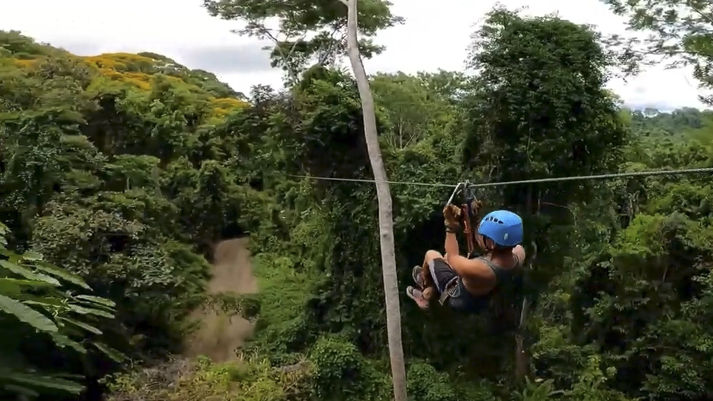 Person wearing a blue helmet and gloves riding a zipline through a lush green forest.