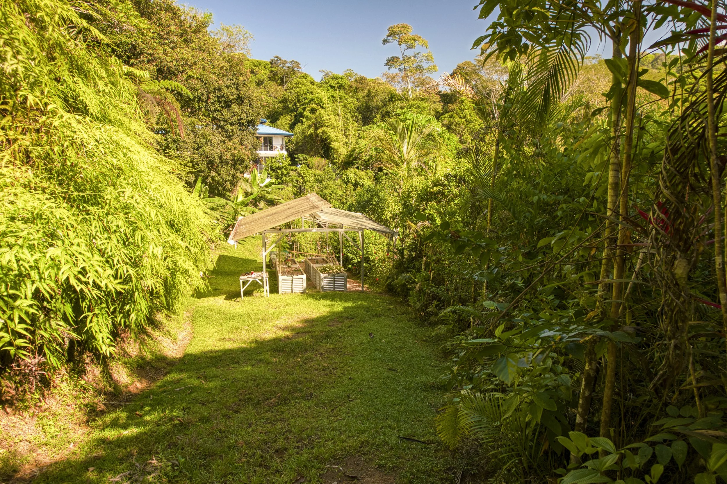 Looking from the gate area toward the raised garden beds; natural landscape of lot two offering expansion opportunities for a future casita. There is enough room to drive down to the chicken coop below.