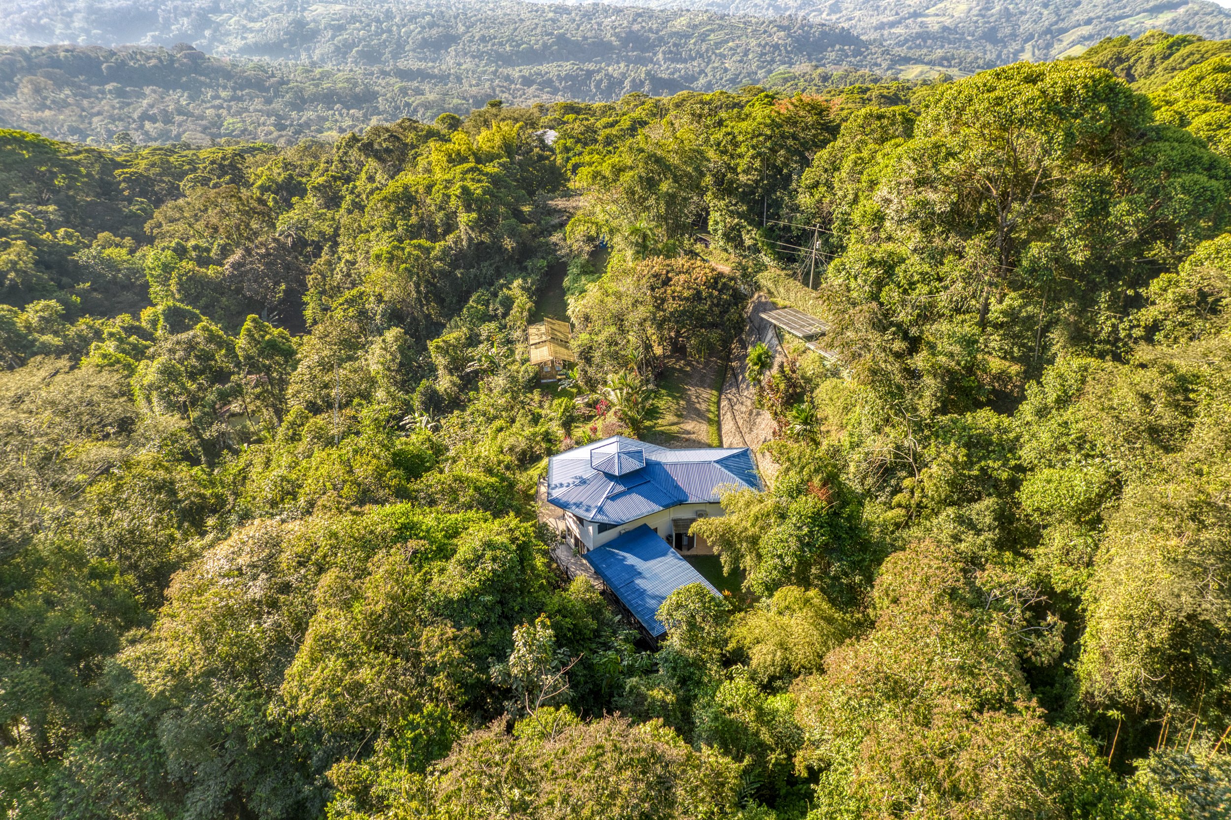 Casa Arbol de Vida framed by lush jungle surroundings in peaceful Platanillo de Baru.