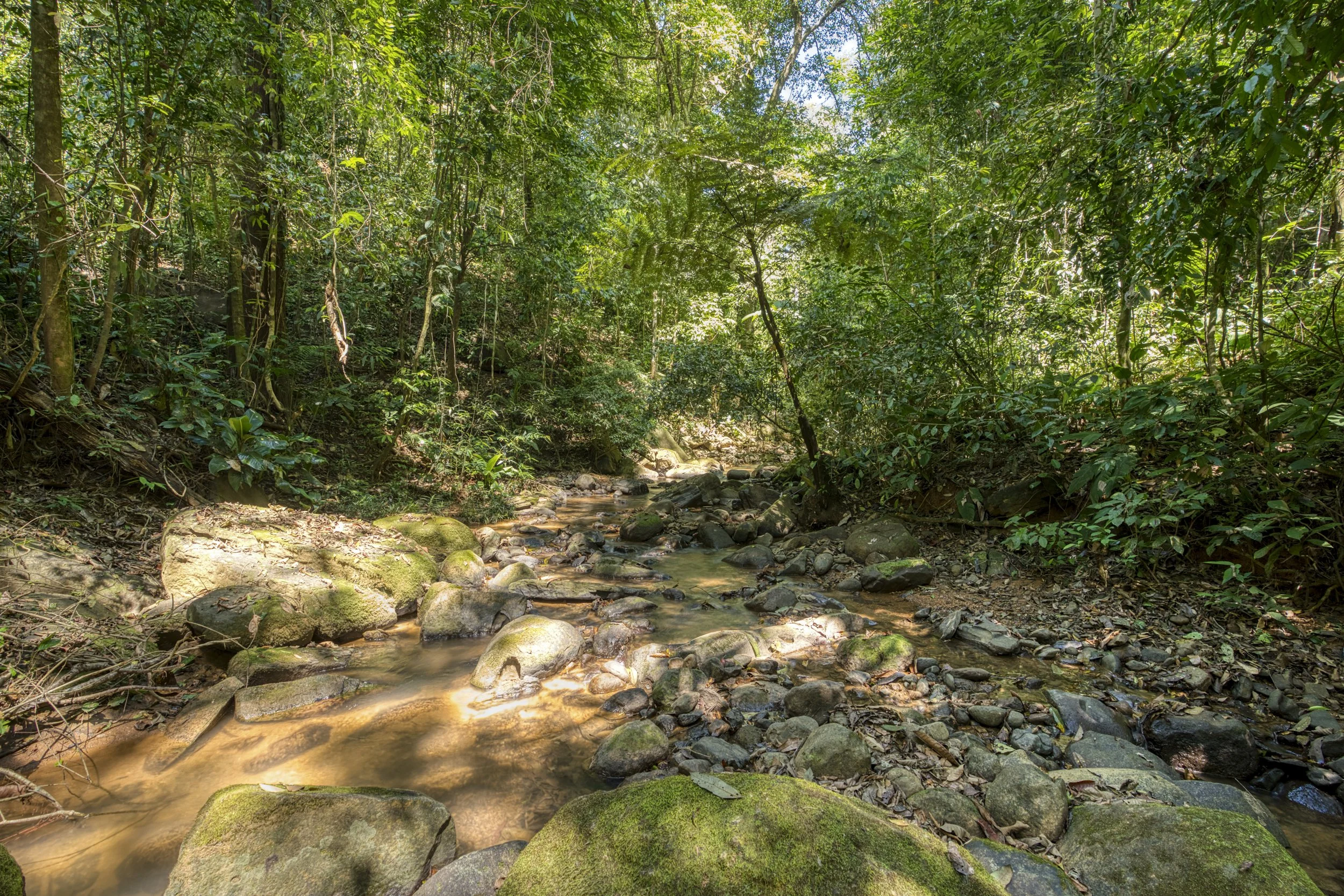 Peaceful creek a short walk from both lots, adding to the natural charm of the property.