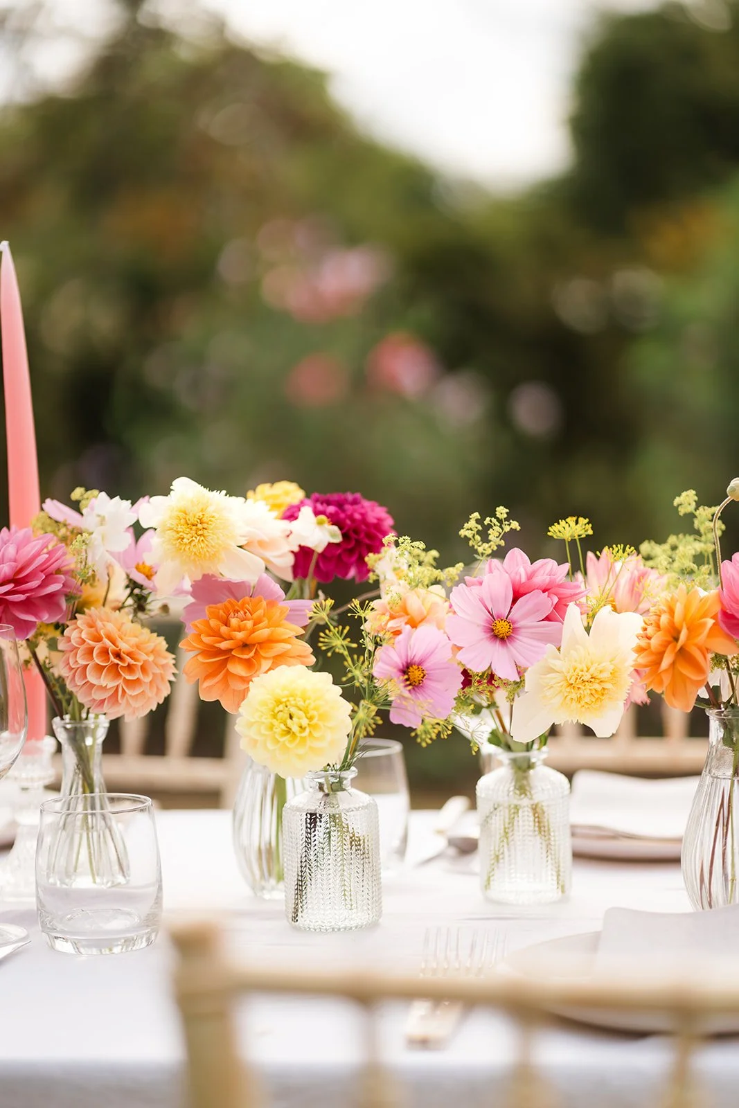 Hedgerow-and-petals-113.jpg