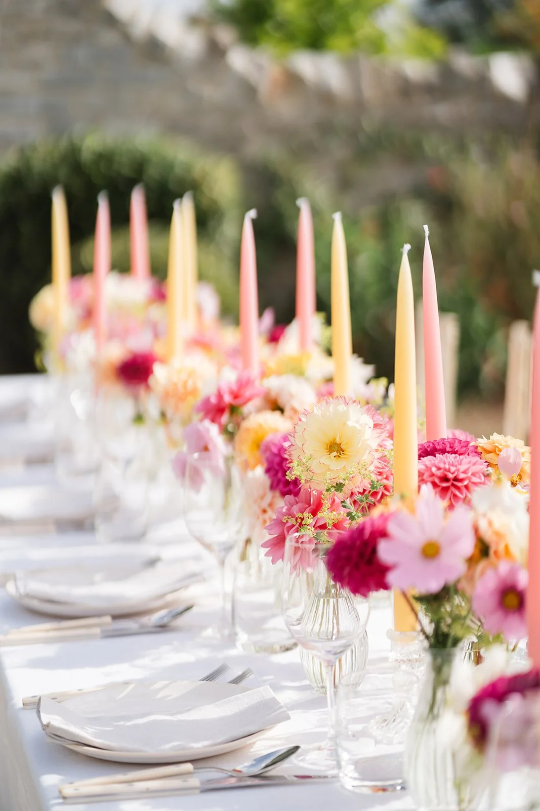 Hedgerow-and-petals-97.jpg