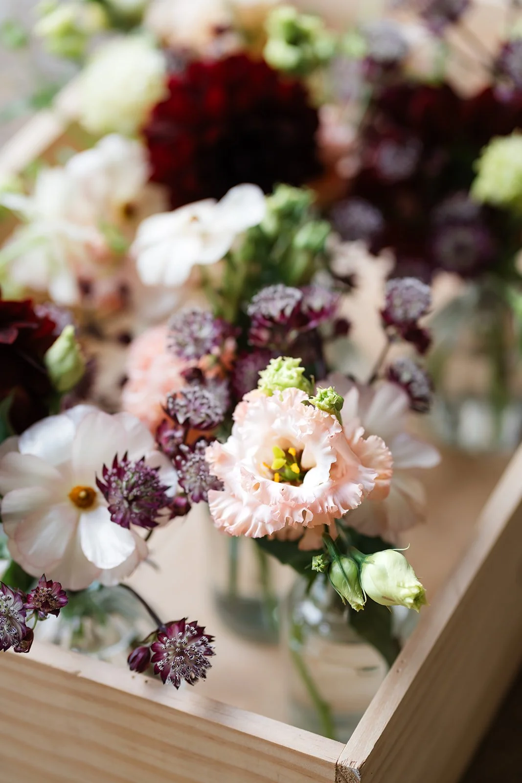 Hedgerow-and-petals-124.jpg