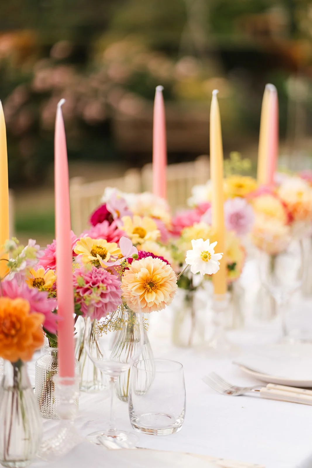 Hedgerow-and-petals-114.jpg