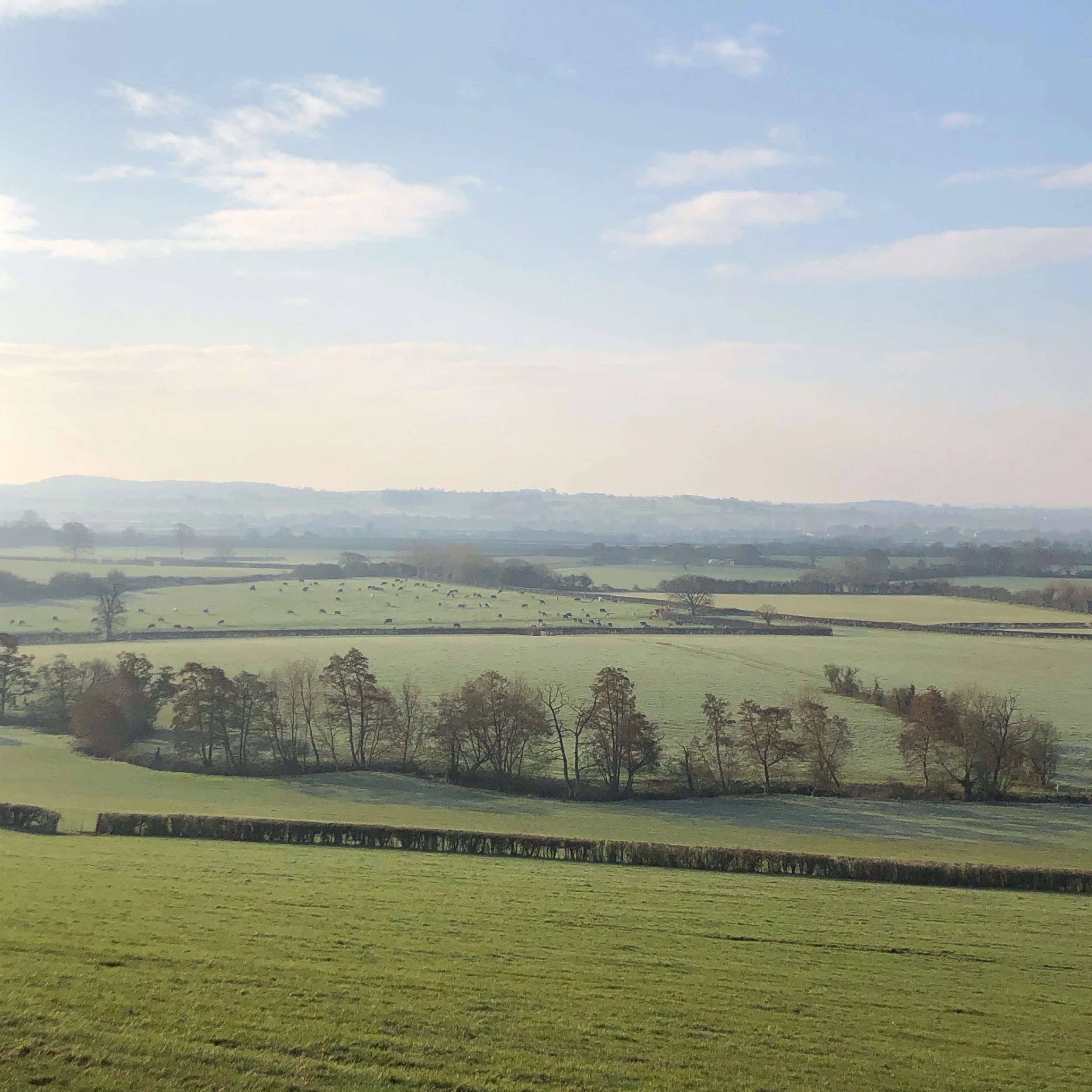 Morning View.JPG