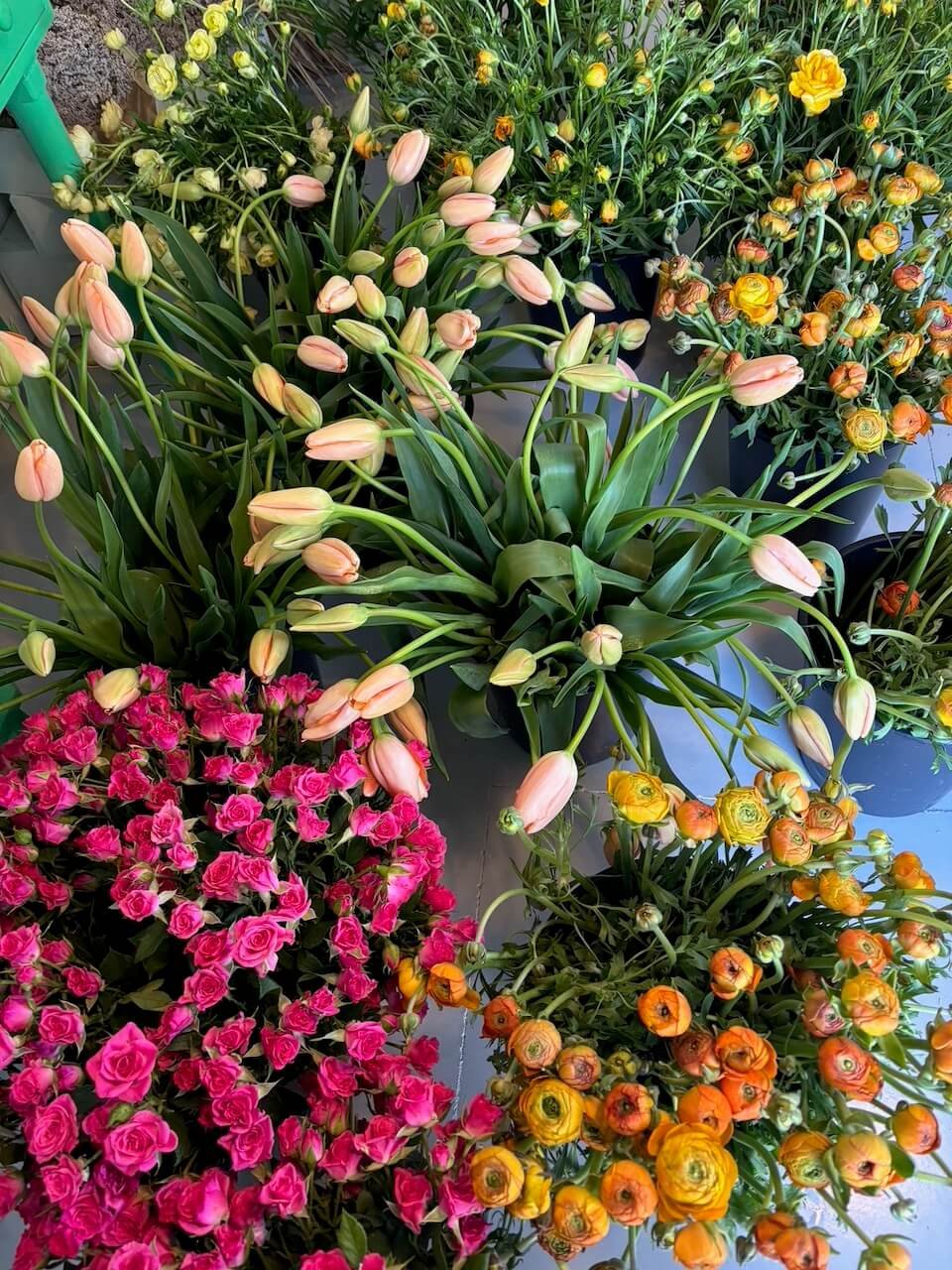Big Flower Group.jpeg