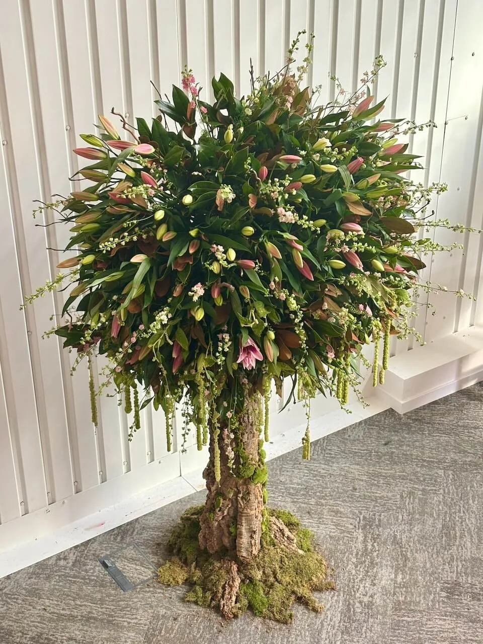 Tree Lily.jpeg