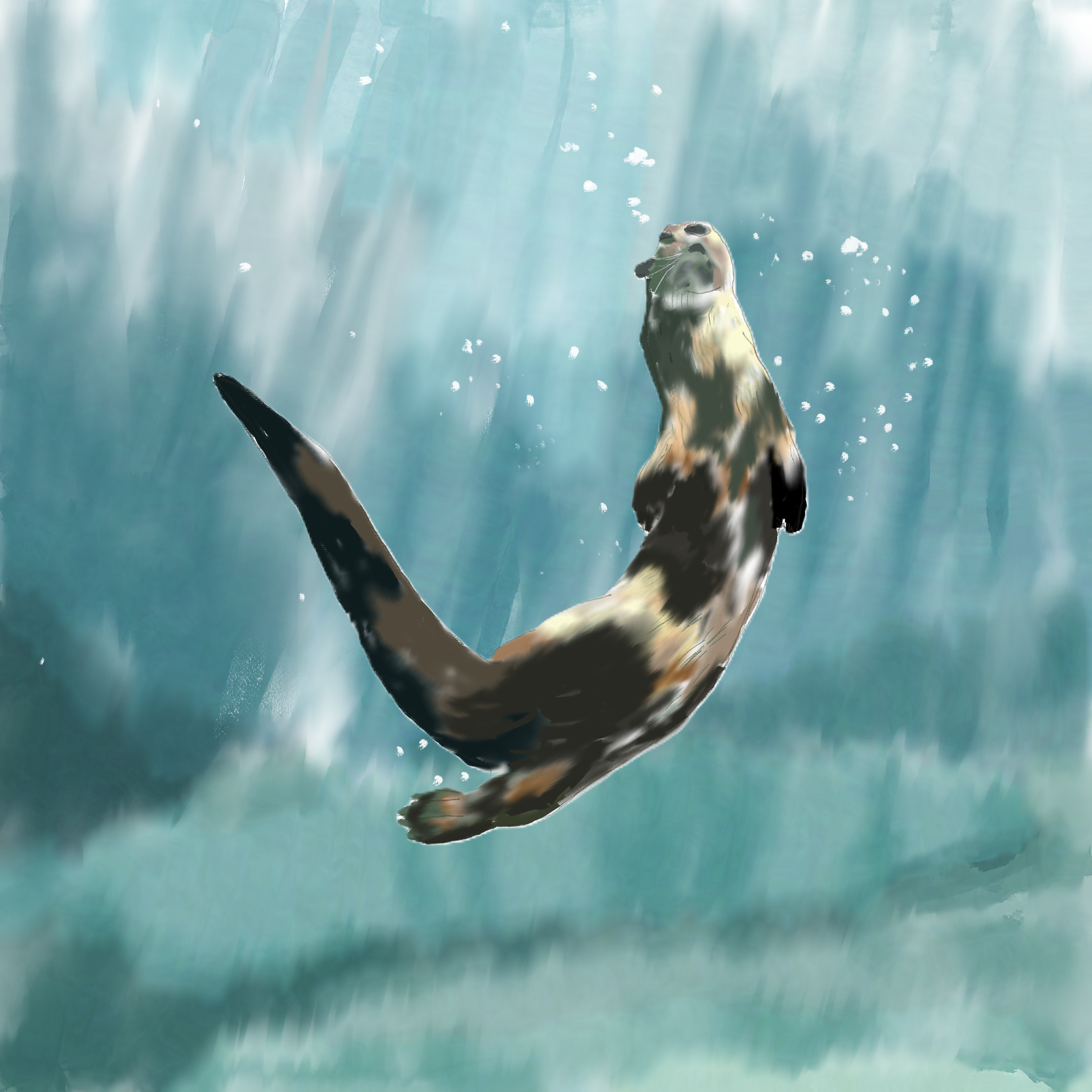 oliphant swimming.png