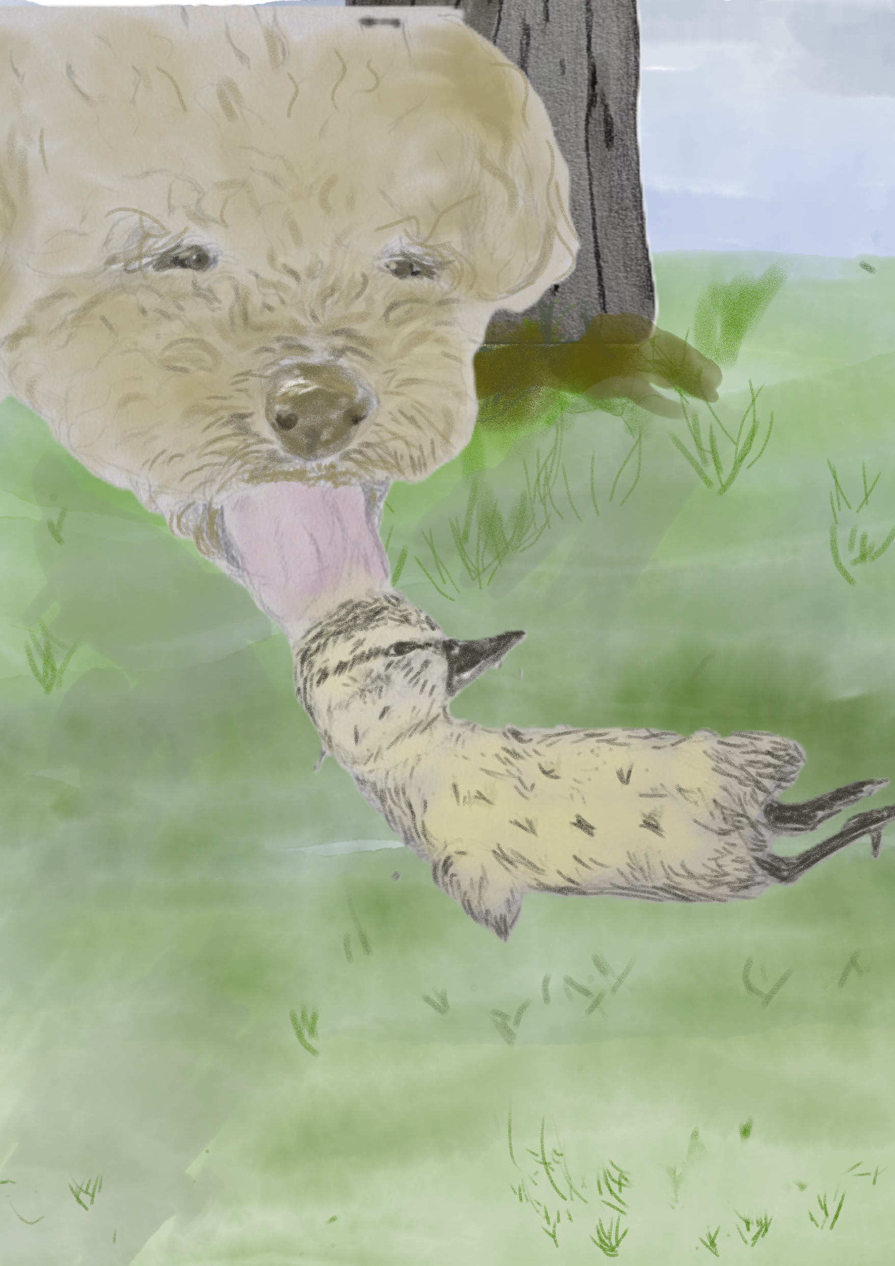 otter+dropping+duckling.png