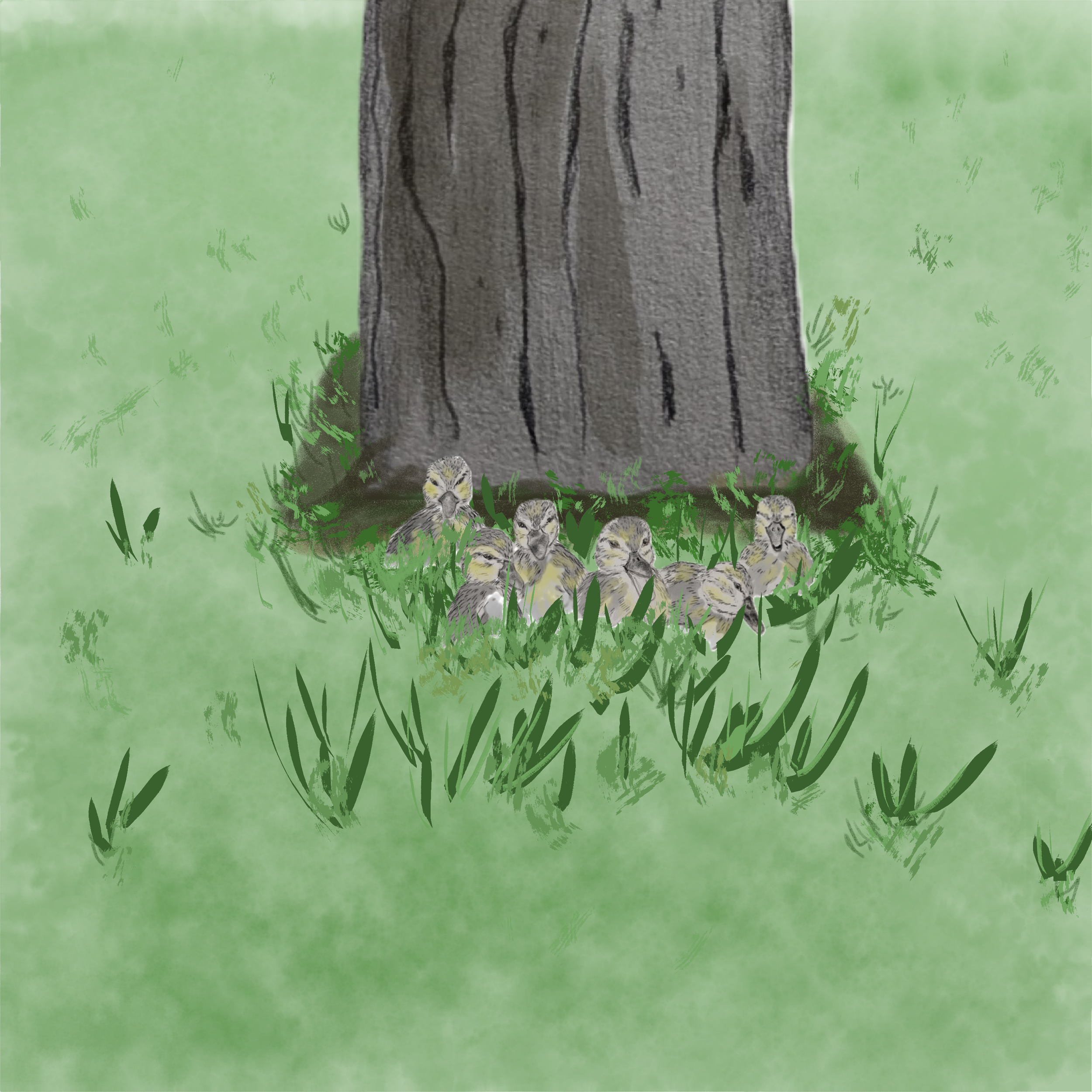 ducklings in the grass.png
