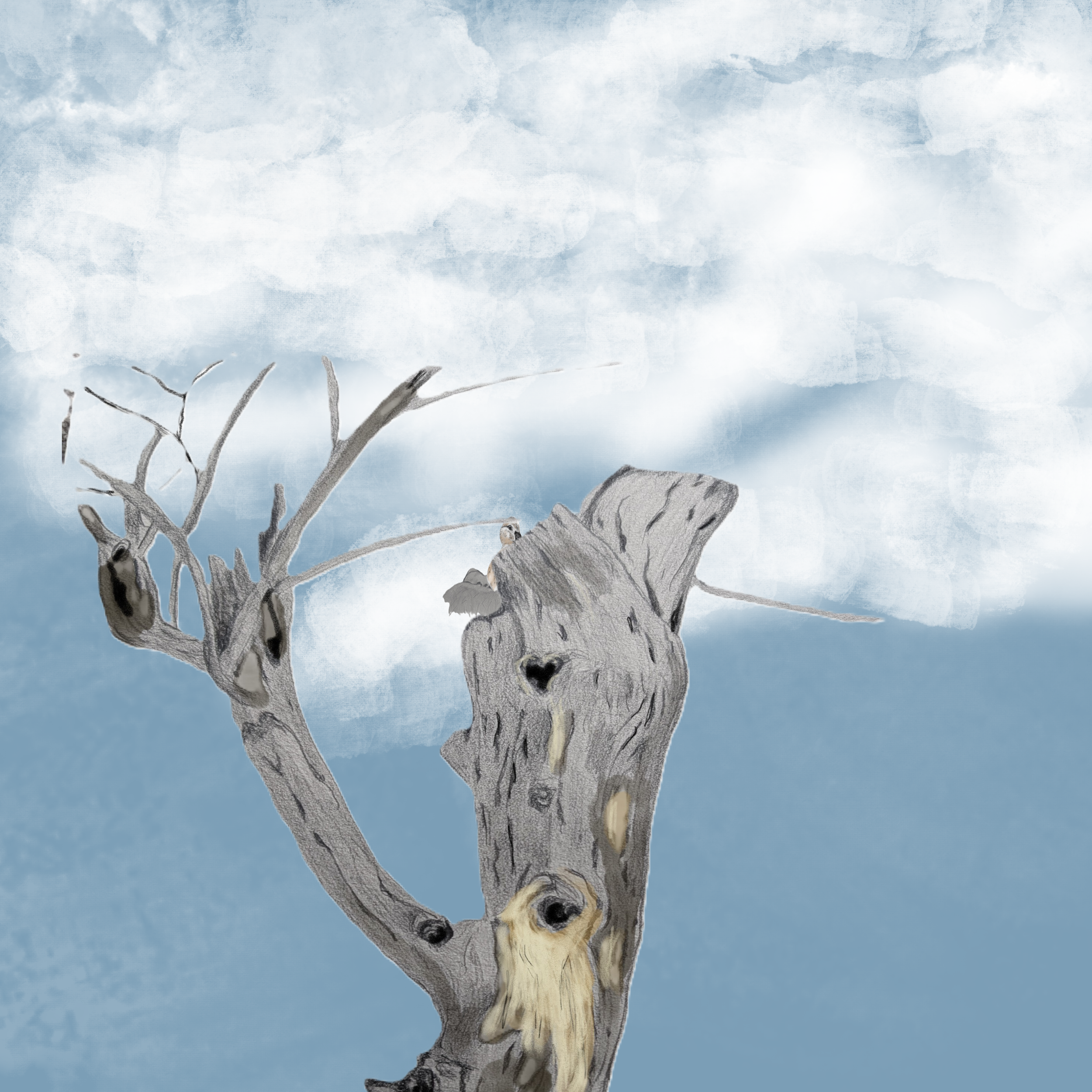 momma at the top of the tree.png