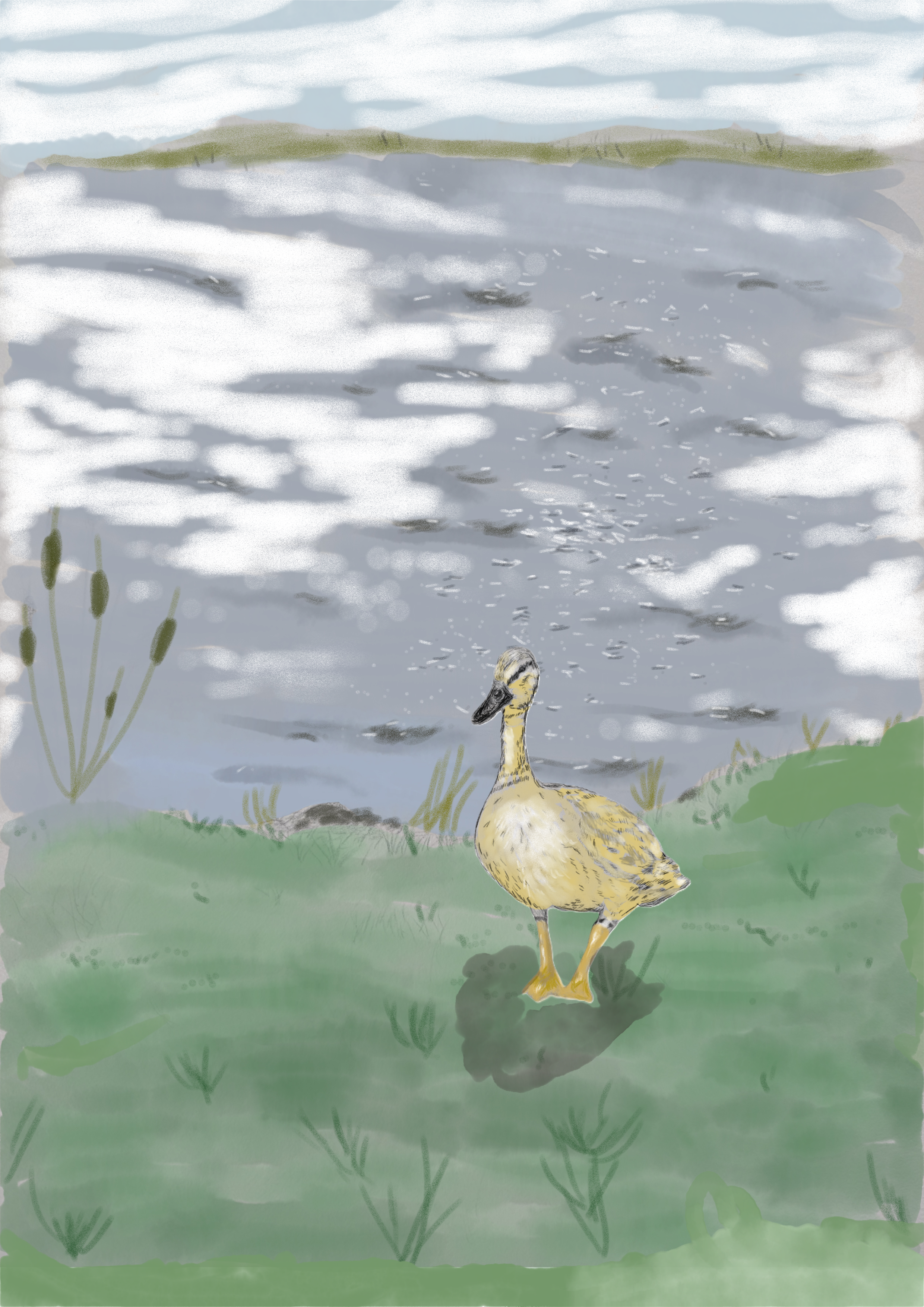 momma looking back color.png