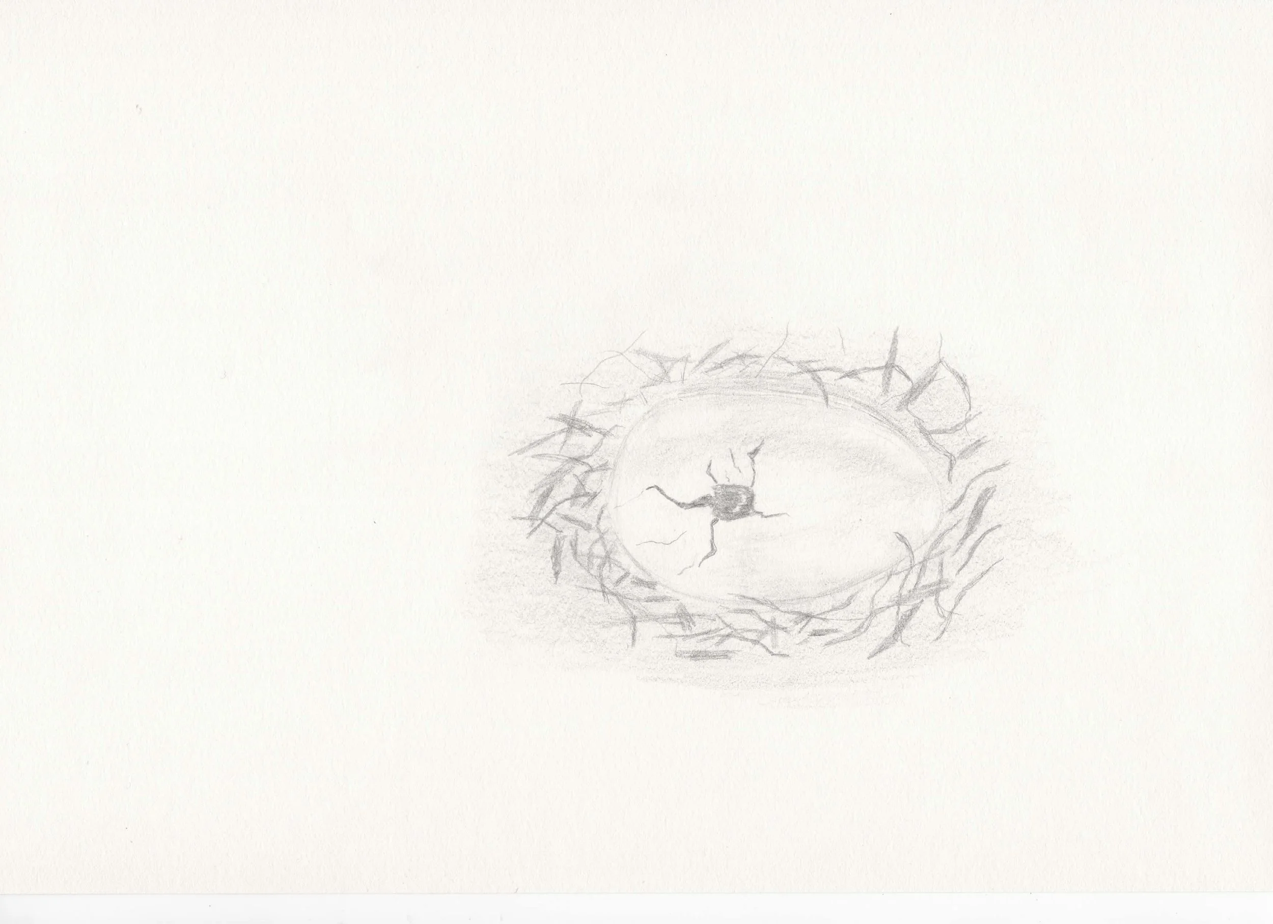 egg crackingscan.jpg