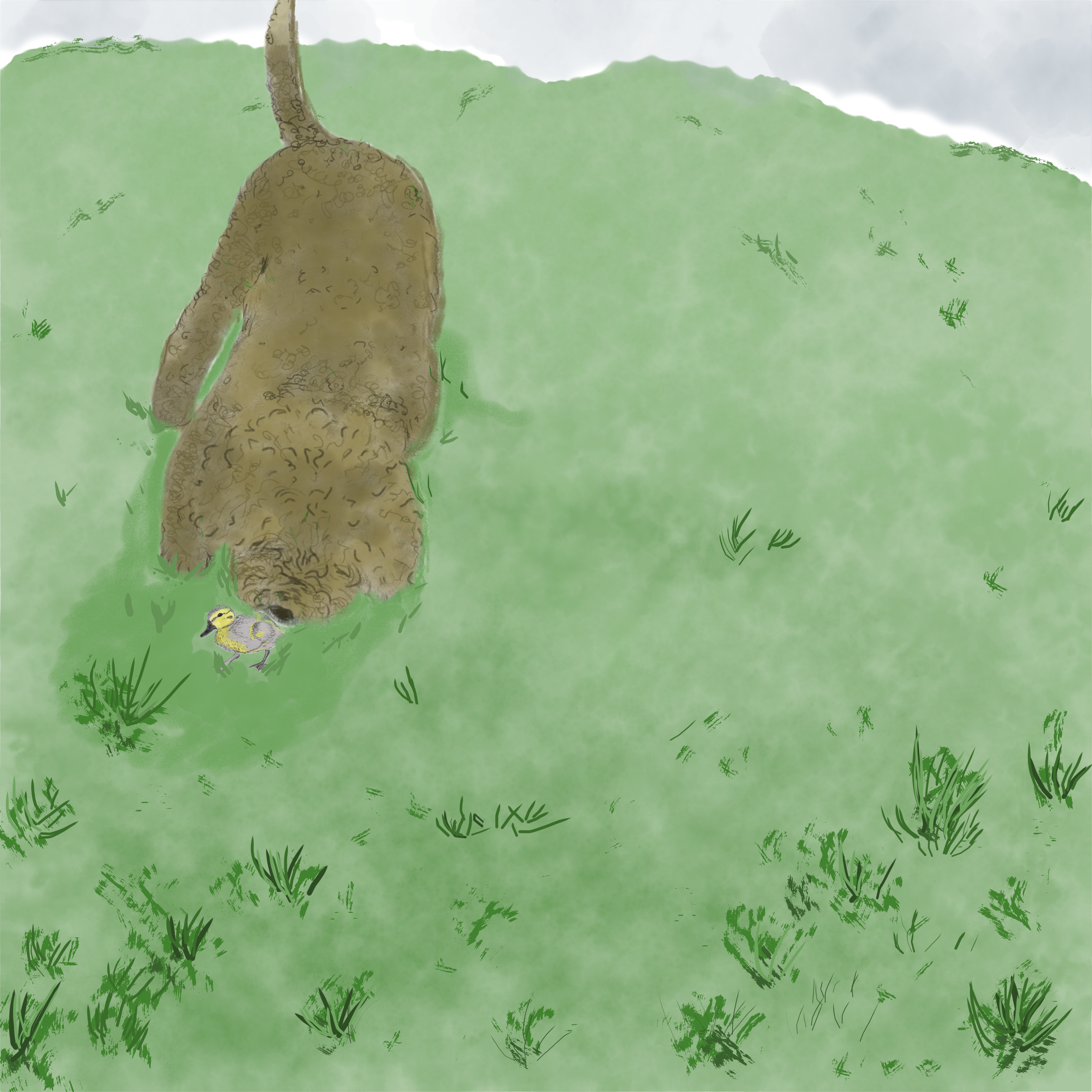 otter about to scoop book.png