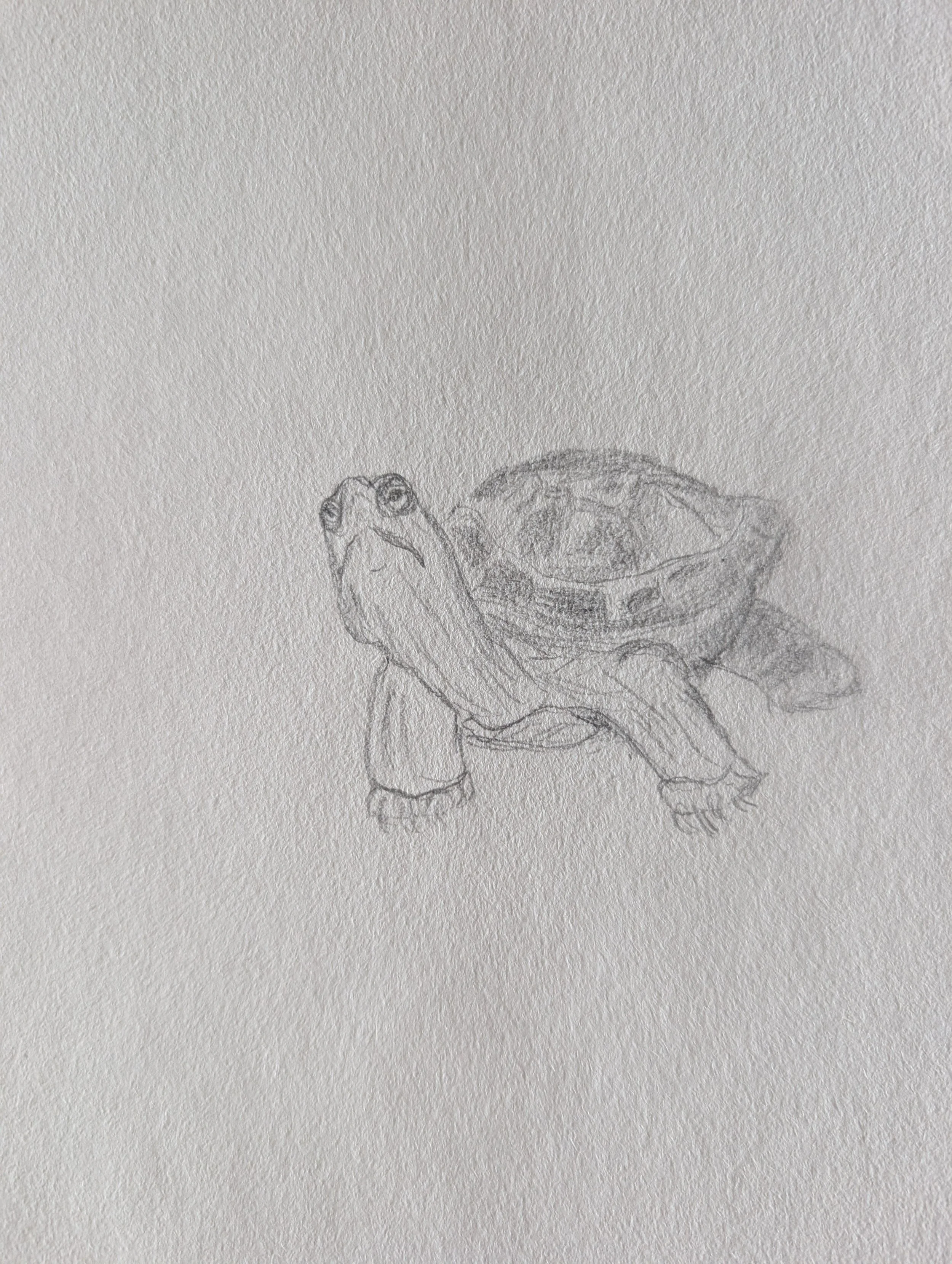 standing neck out timber.jpg