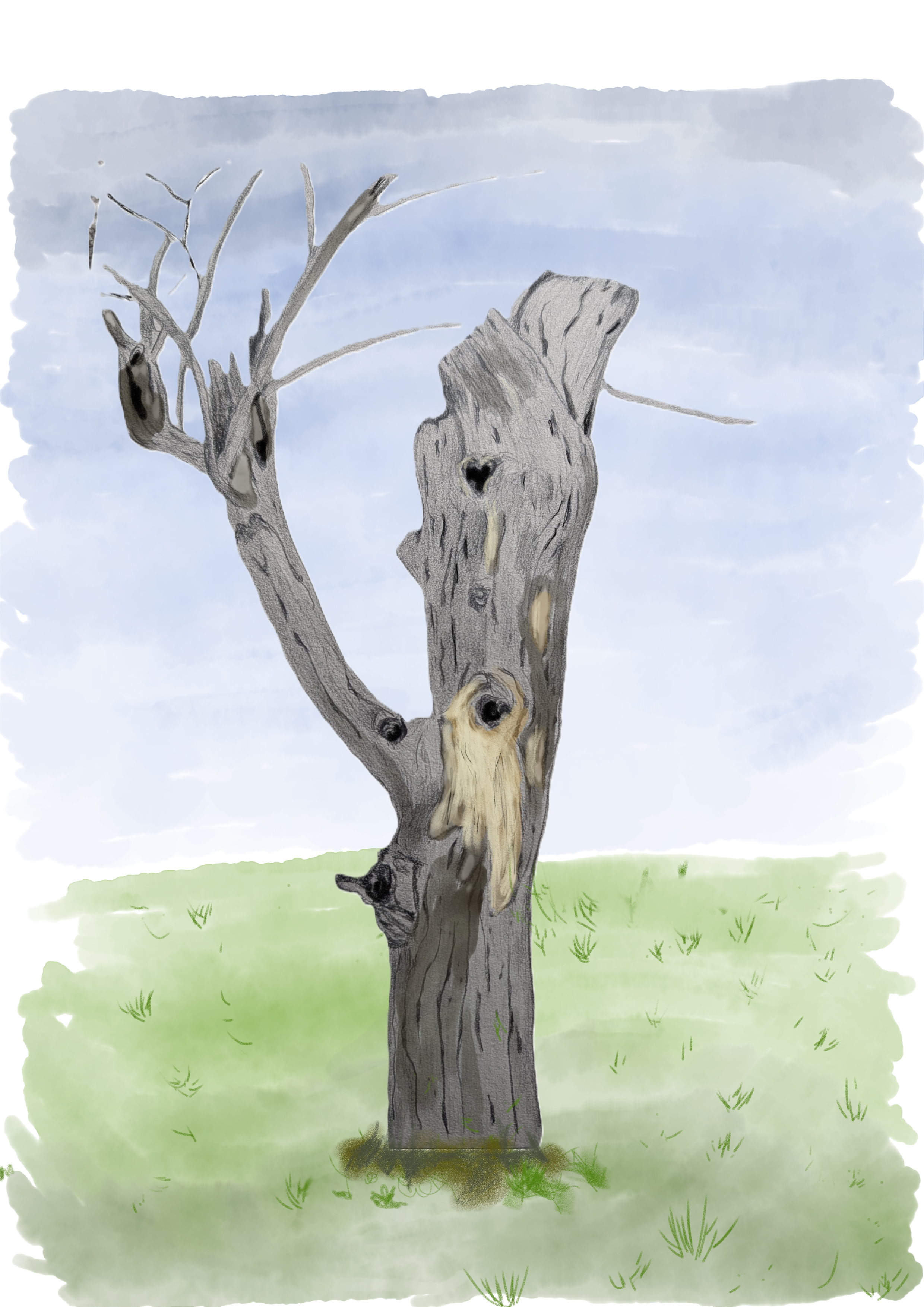 dead tree.png