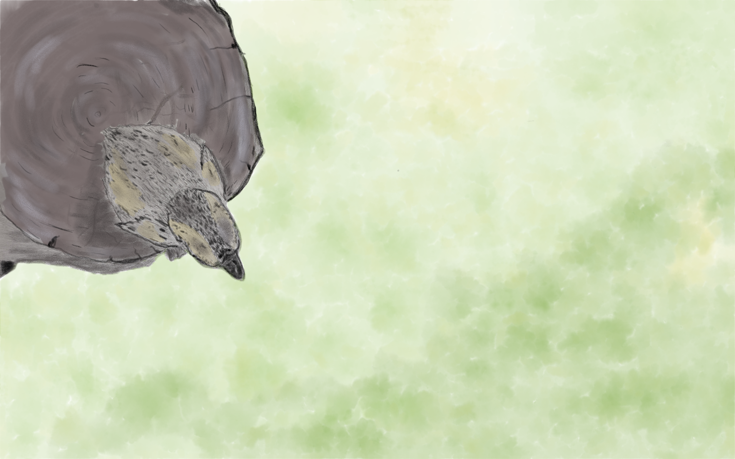 duckling on the ledge.png