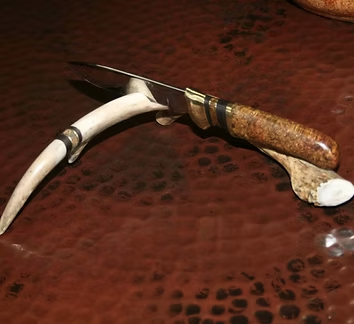 The Chef's Utility Knife