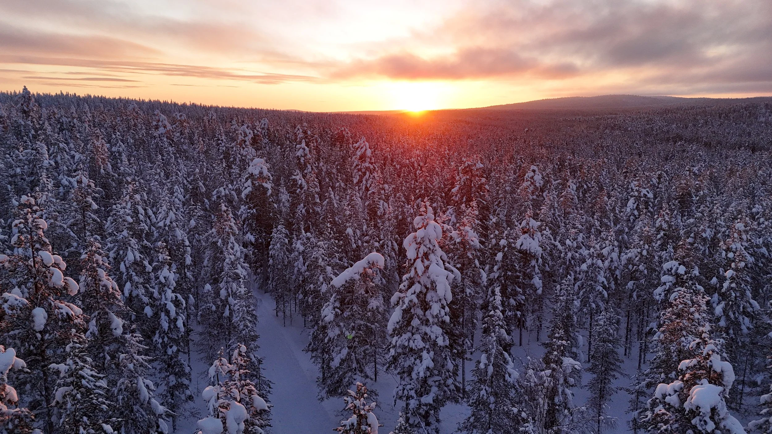 Snow-covered forest in Lapland with trees and a snow trail at sunset, with the sun near the horizon and orange-pink sky. Aerial view shot by drone.